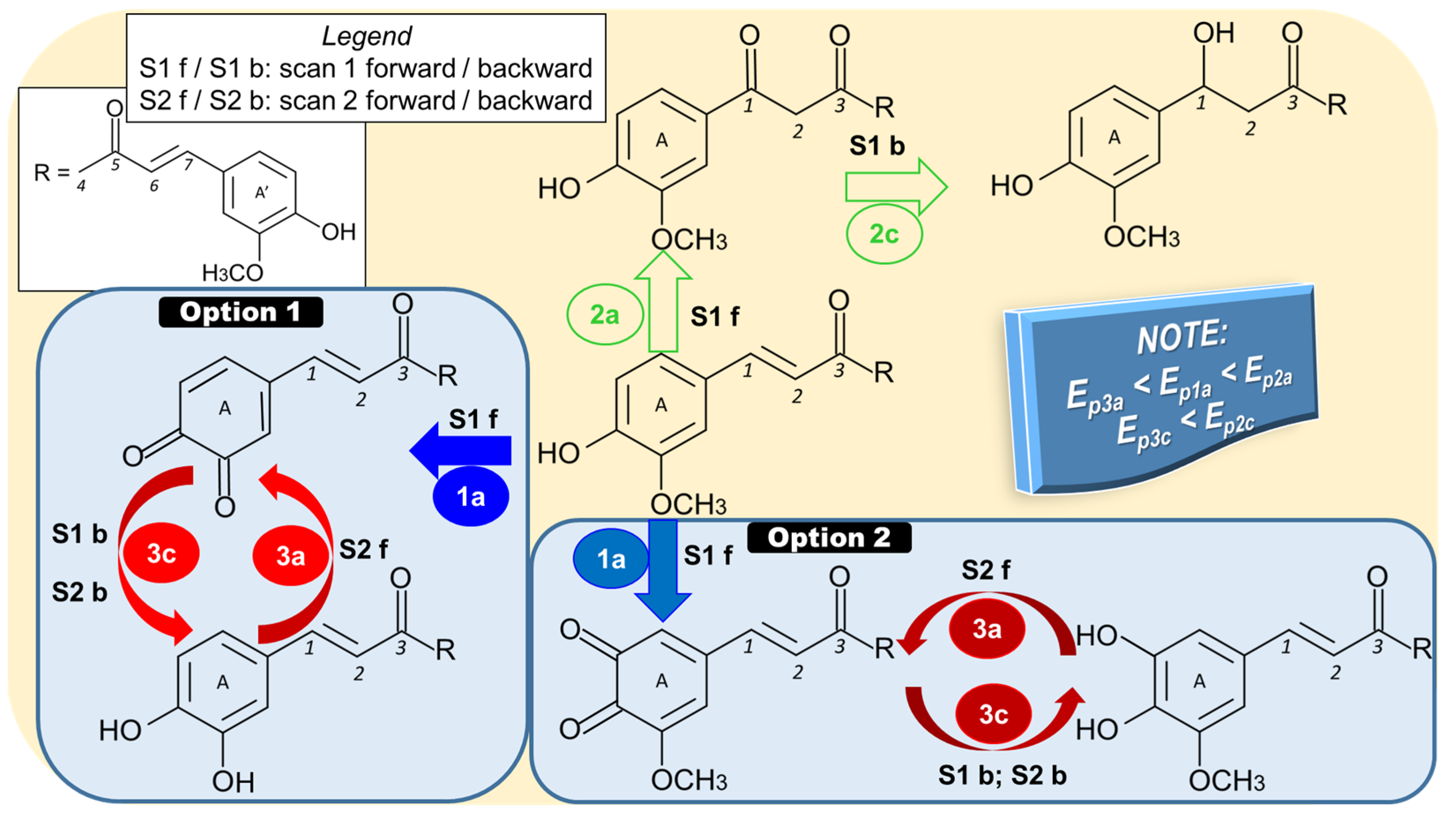 Antioxidants 12 01908 g004
