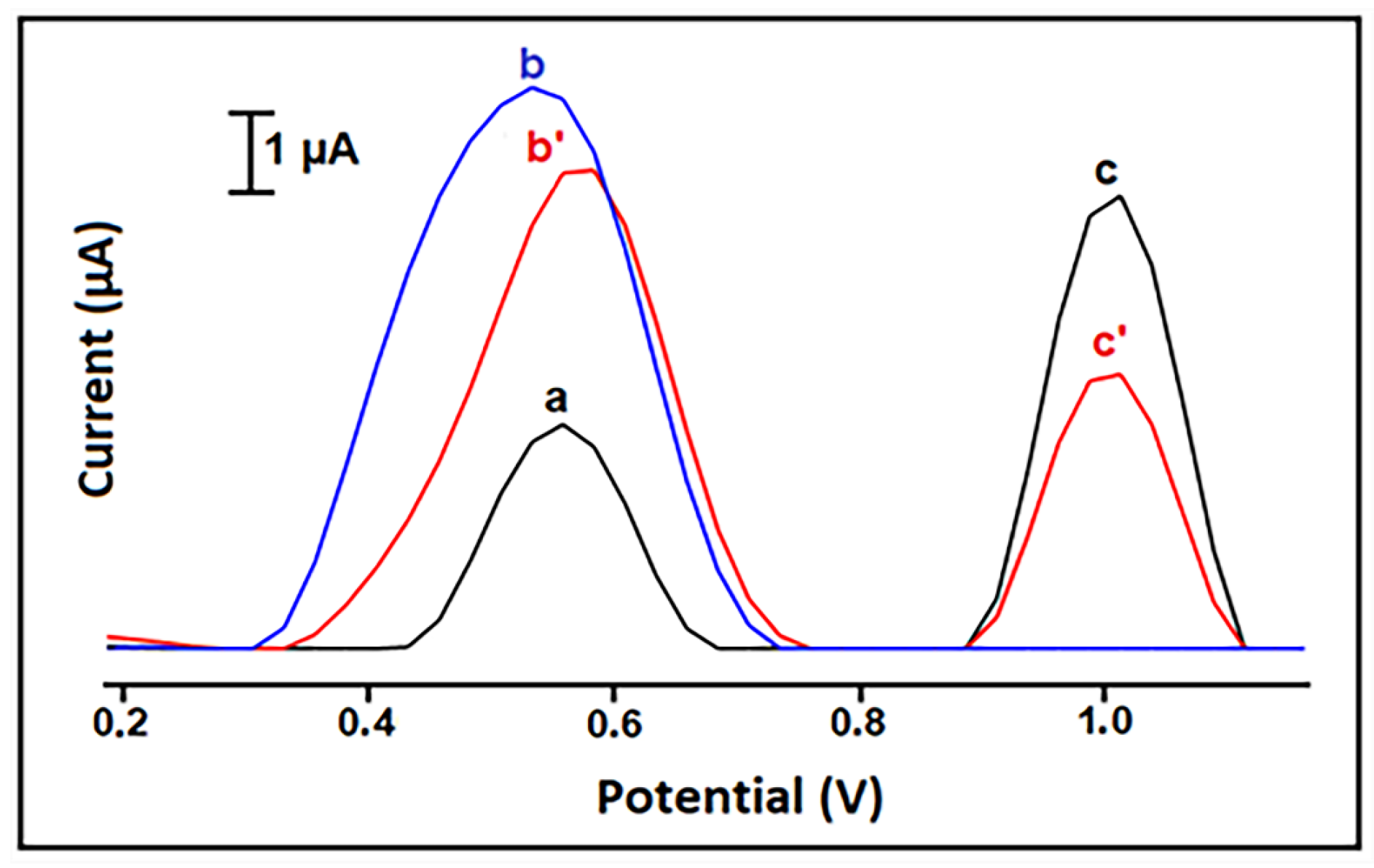 Antioxidants 12 01908 g006