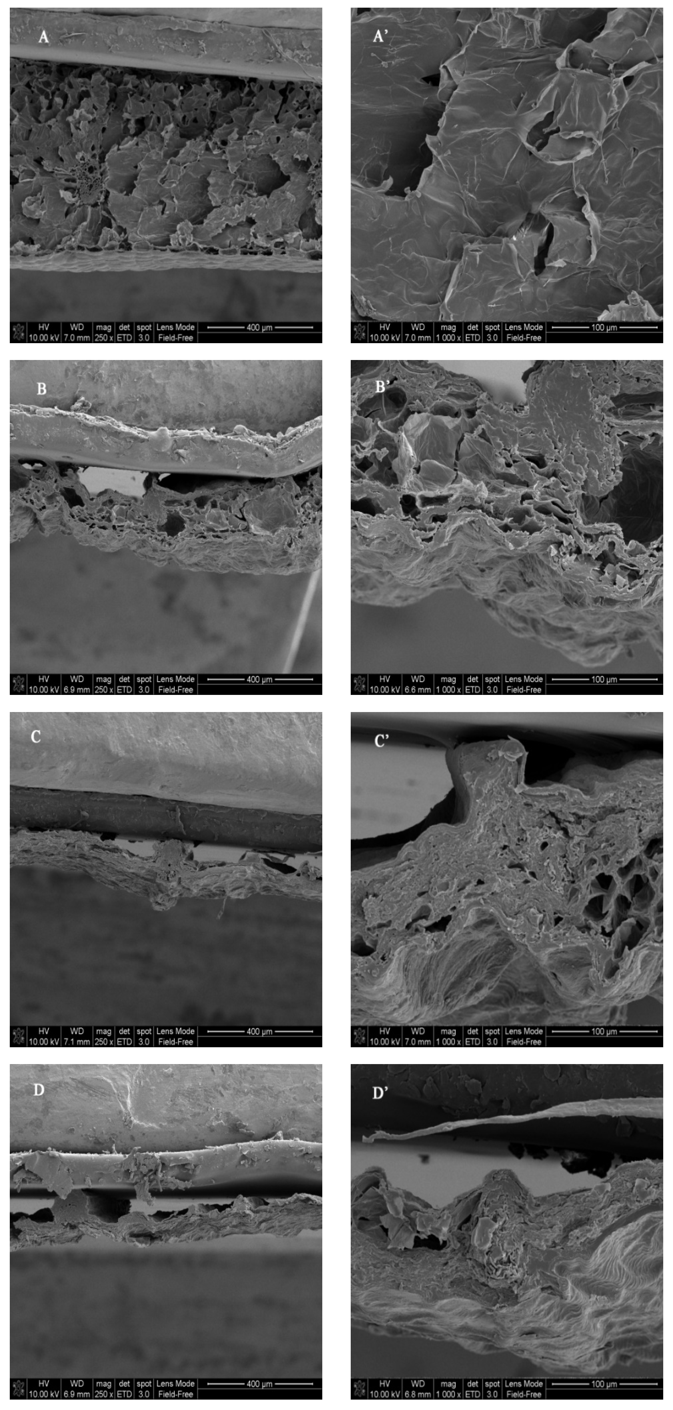 Antioxidants 12 01911 g001
