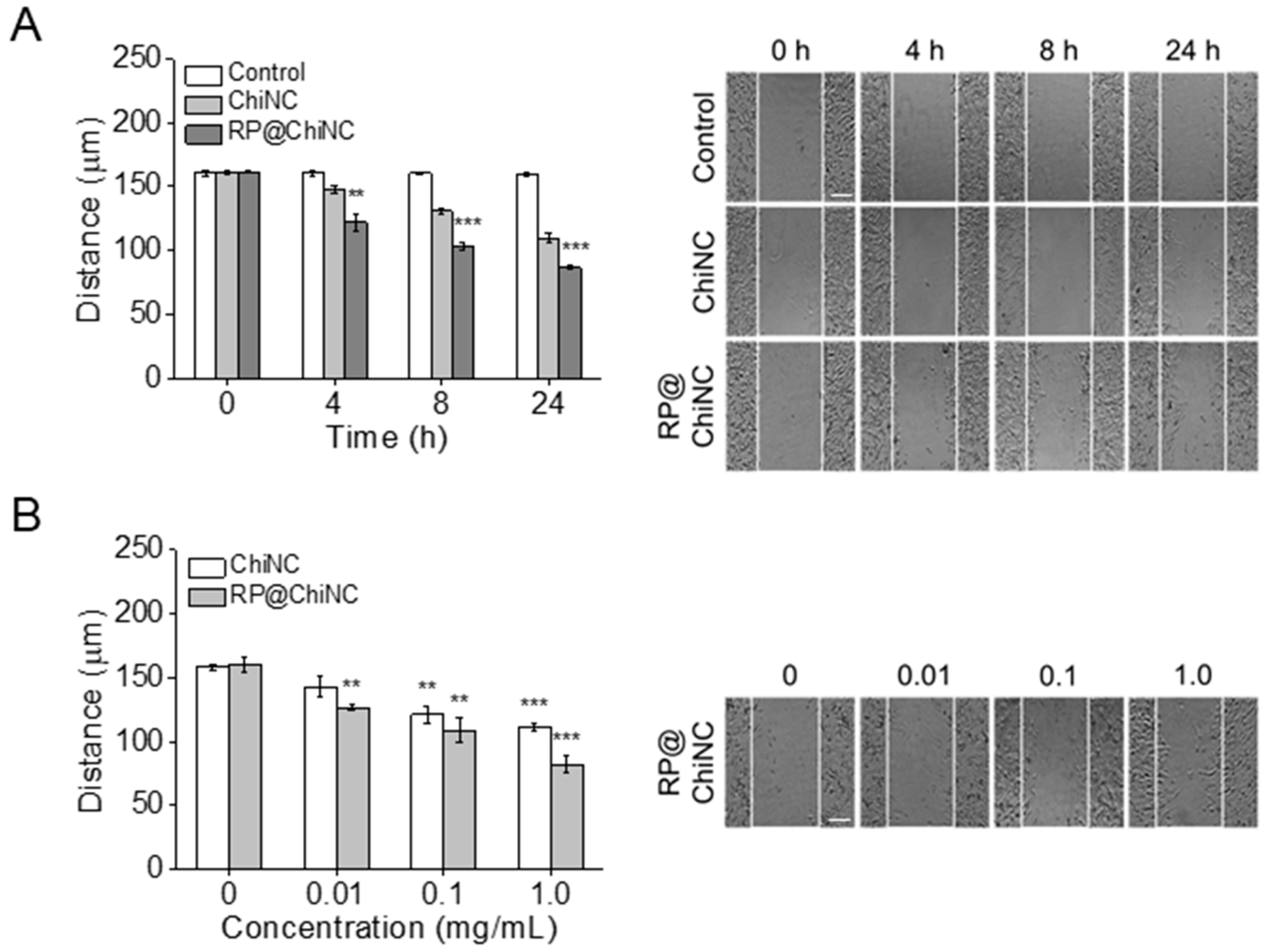 Antioxidants 12 01913 g005