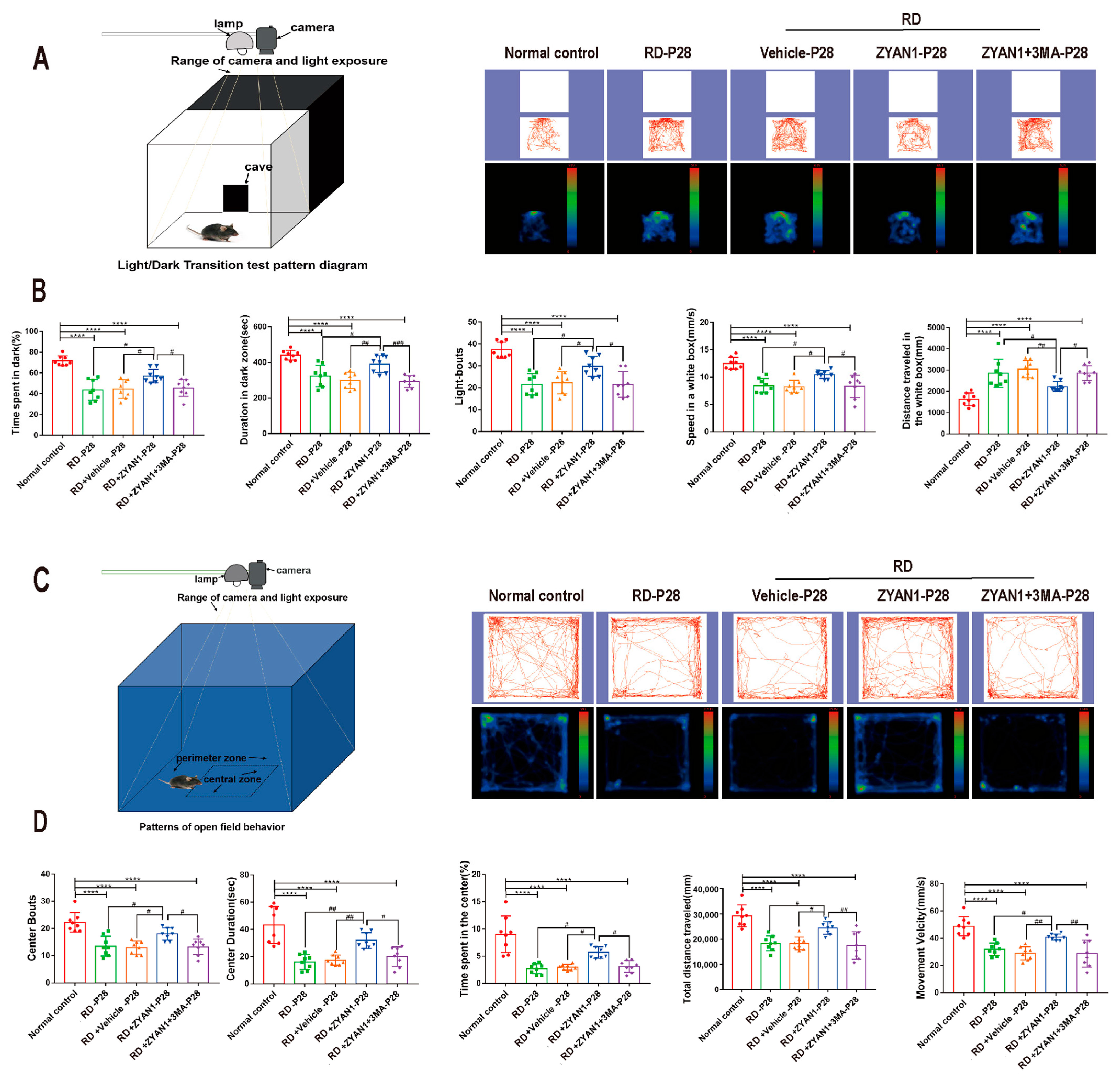 Antioxidants 12 01914 g009