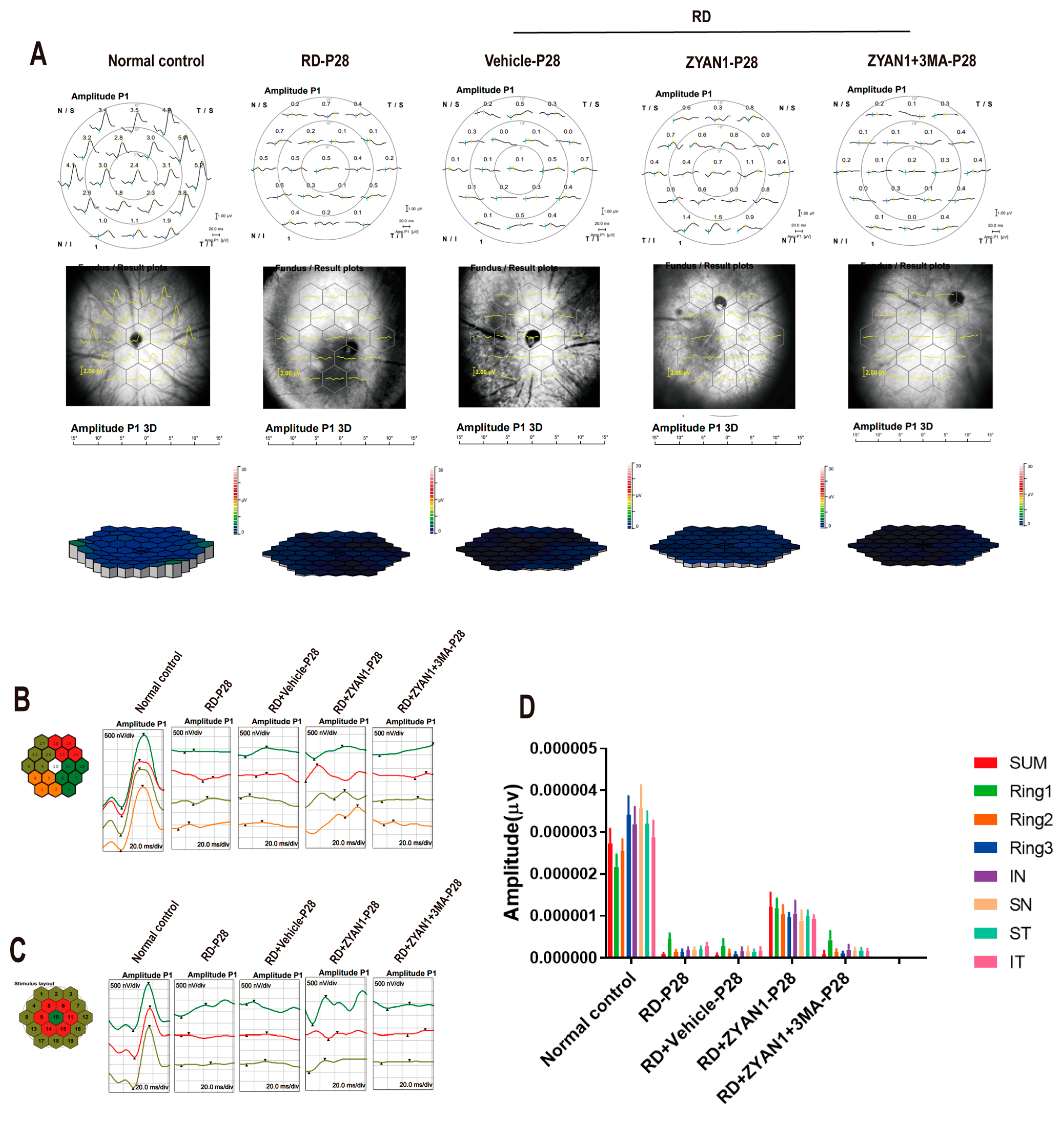 Antioxidants 12 01914 g010