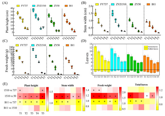 How Antioxidants, Osmoregulation, Genes and Metabolites
