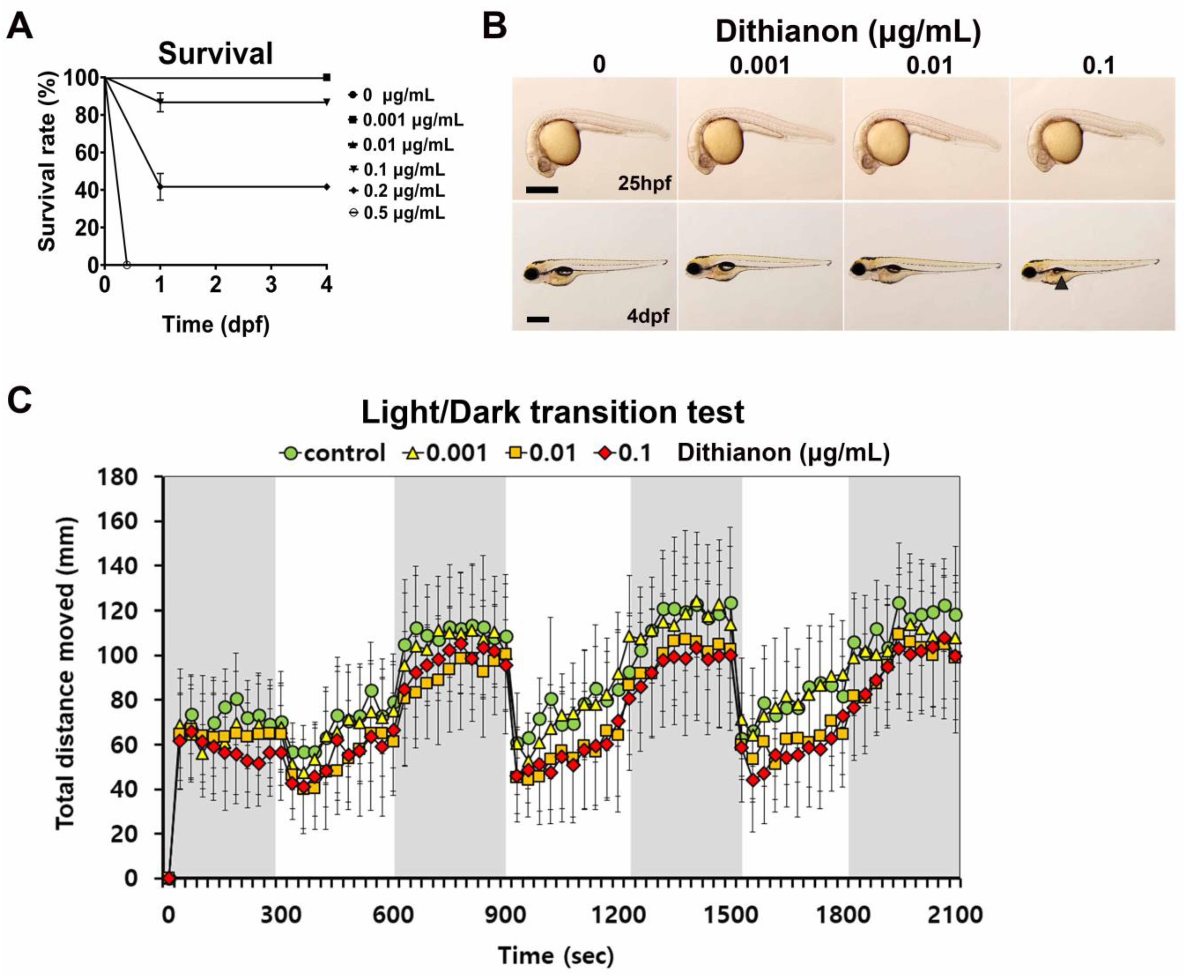 Antioxidants 12 01920 g001 Antioxidants 12 01920 g001