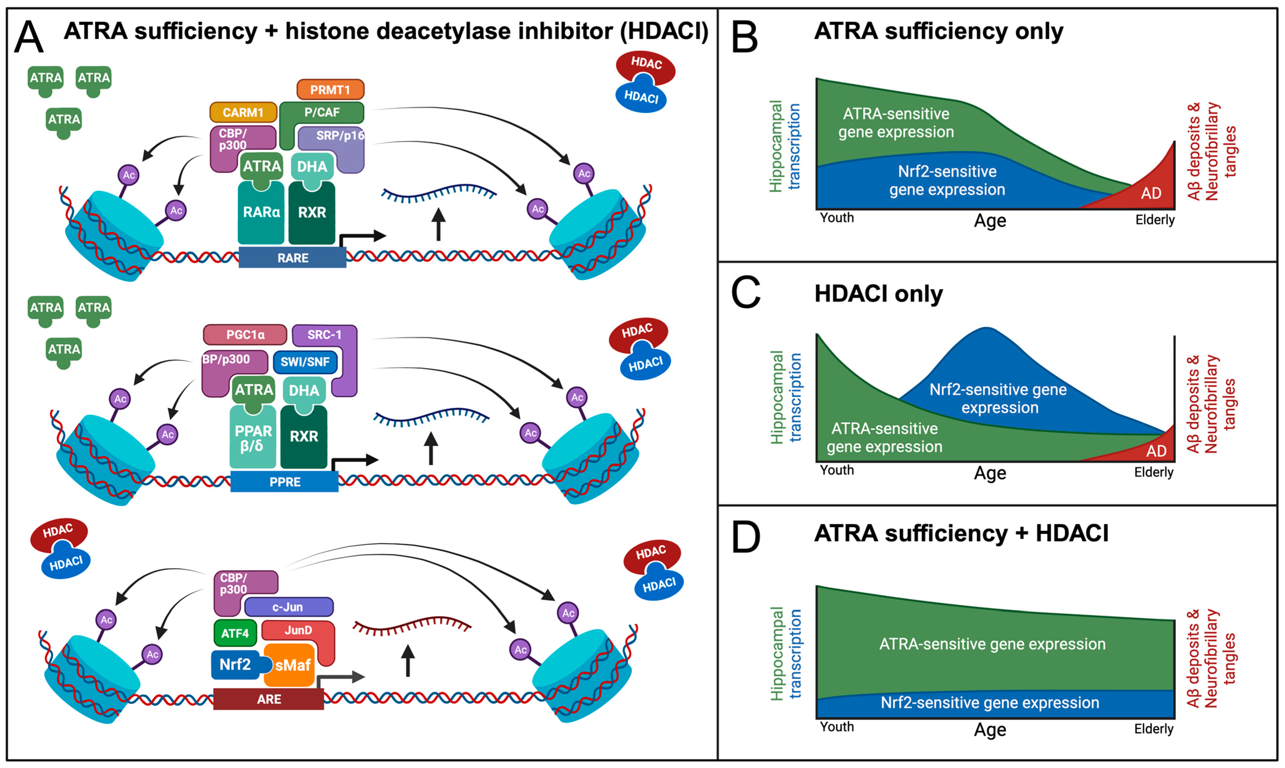 Antioxidants 12 01921 g005