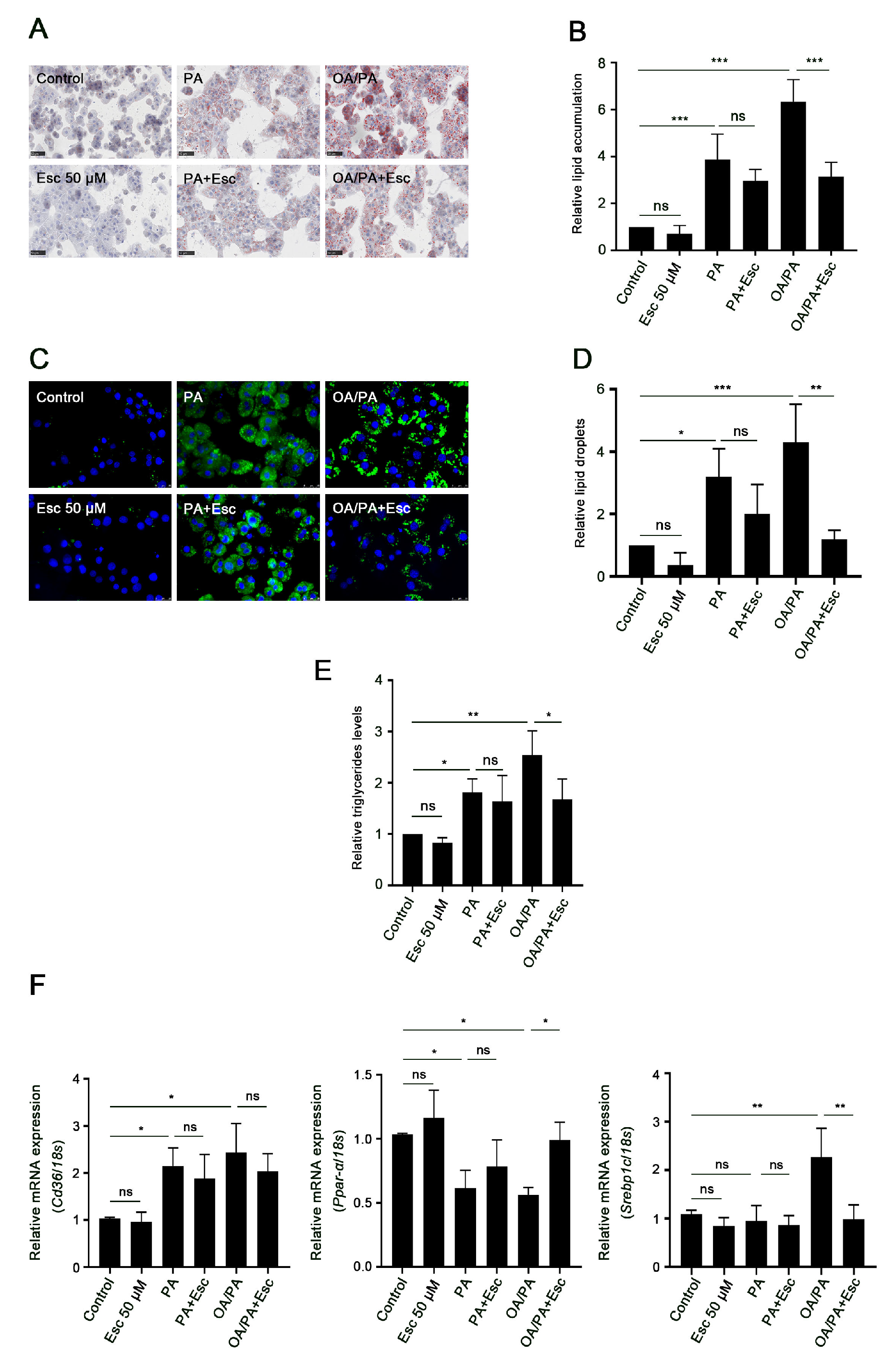 Antioxidants 12 01922 g005 Antioxidants 12 01922 g005