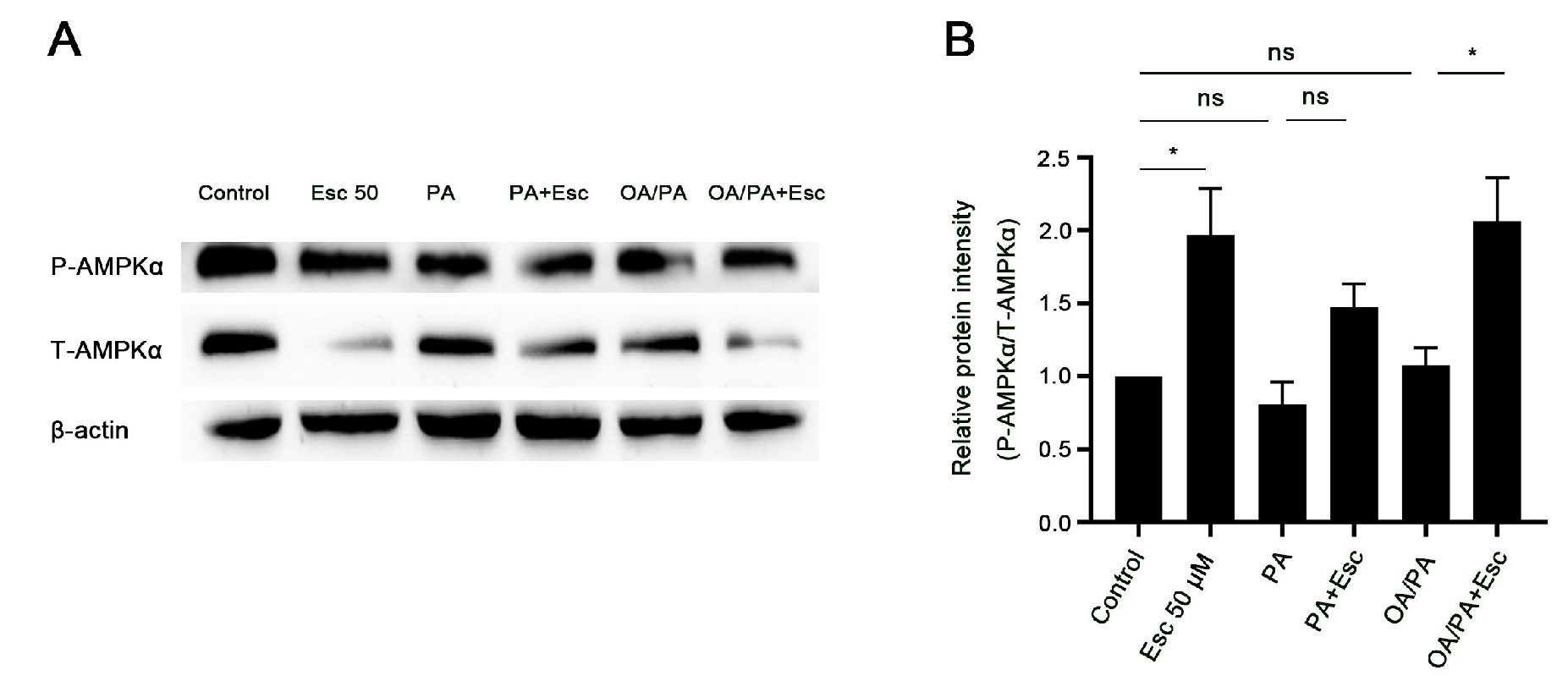 Antioxidants 12 01922 g006 Antioxidants 12 01922 g006