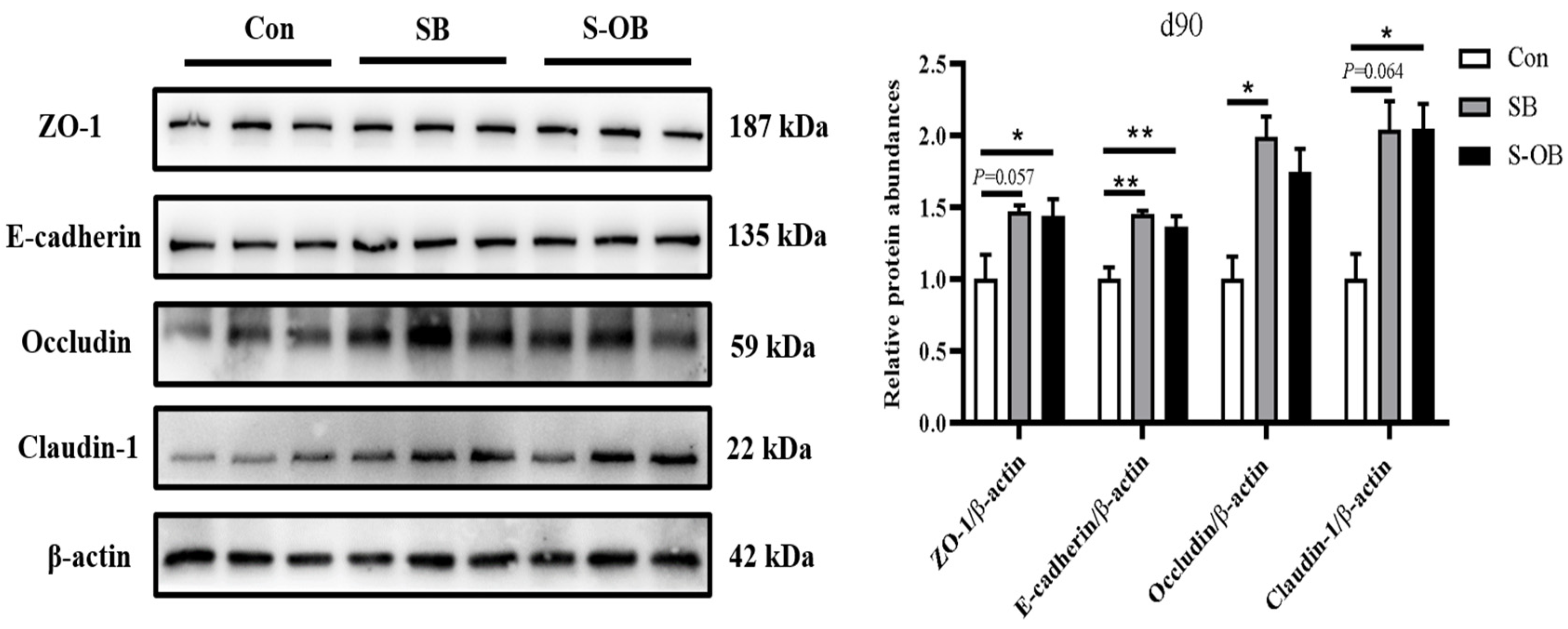 Antioxidants 12 01926 g003