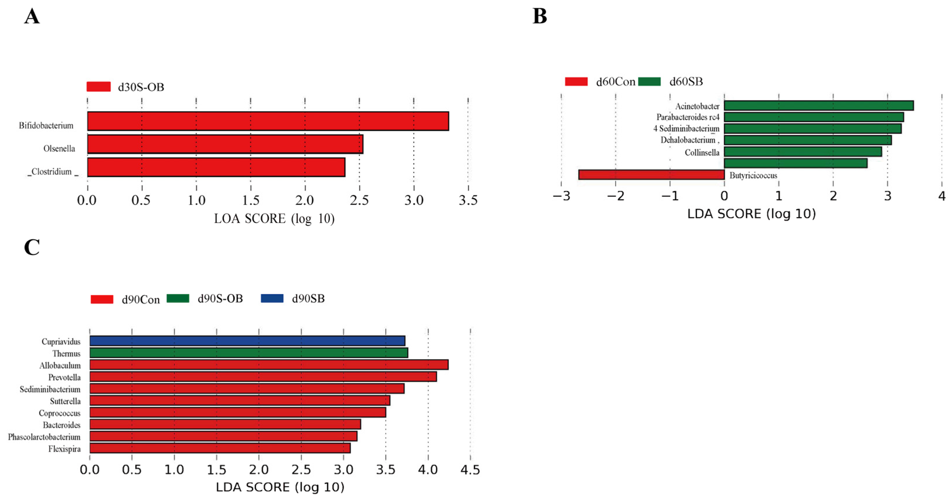 Antioxidants 12 01926 g013