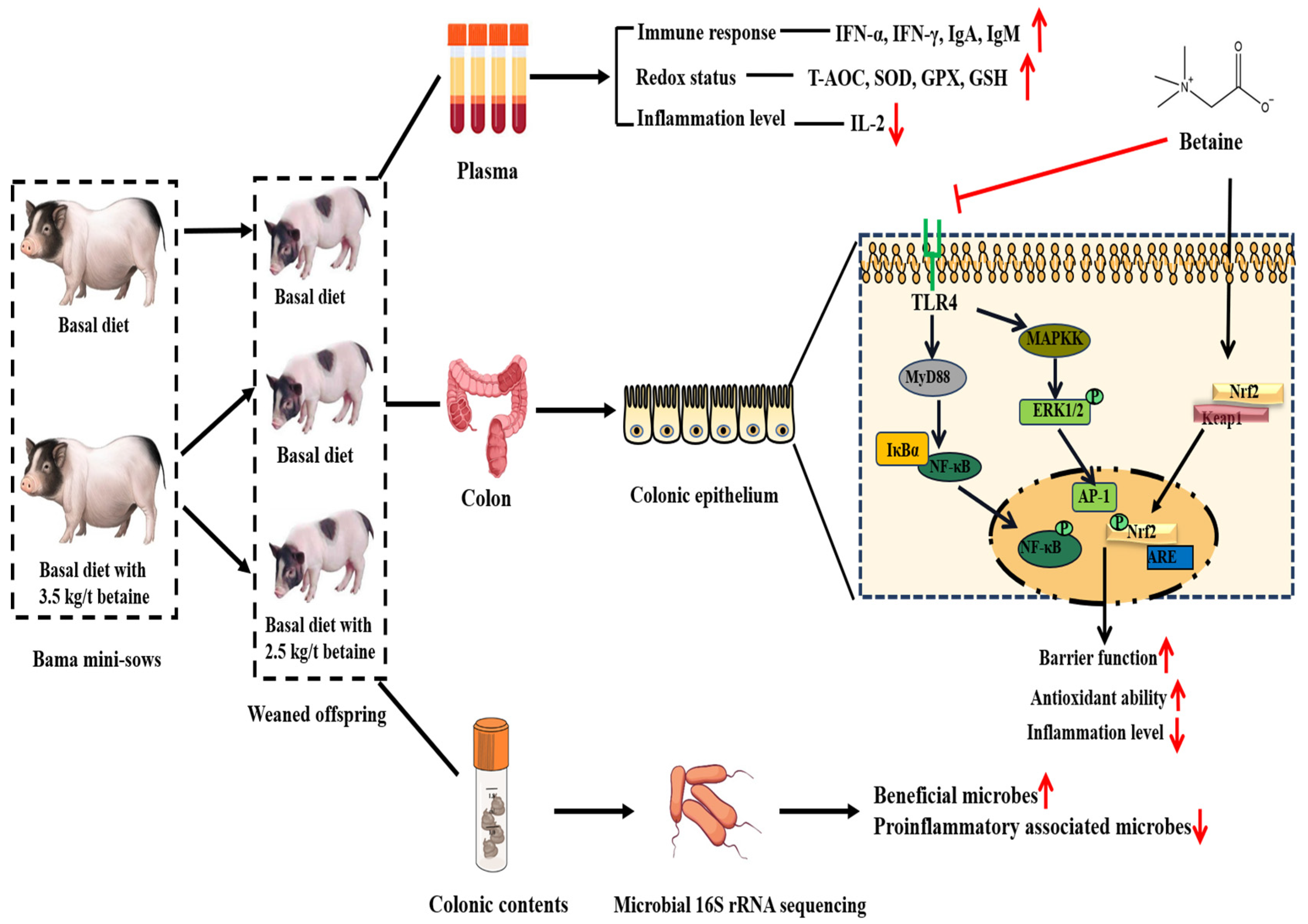 Antioxidants 12 01926 g014