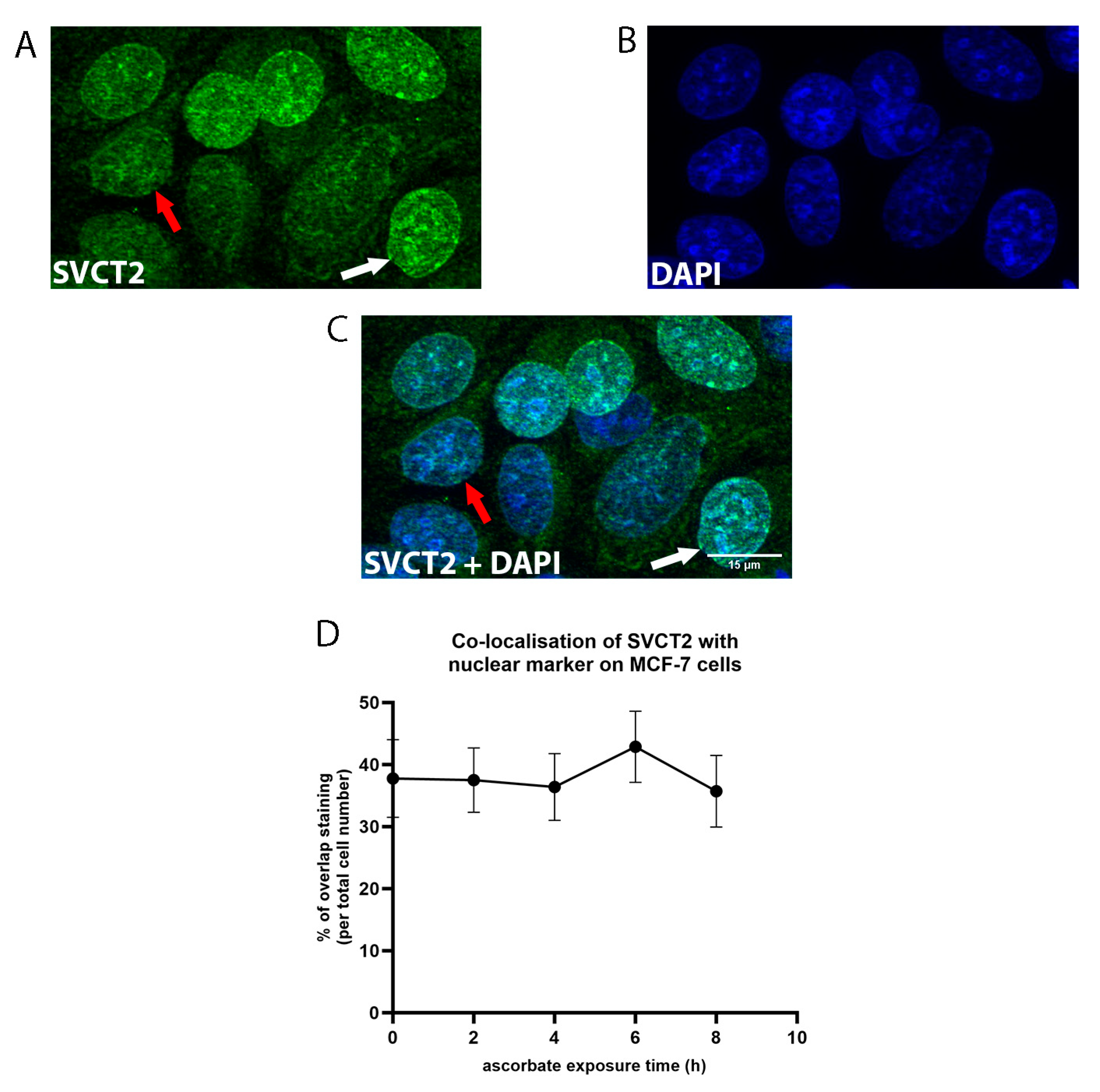 Antioxidants 12 01929 g007