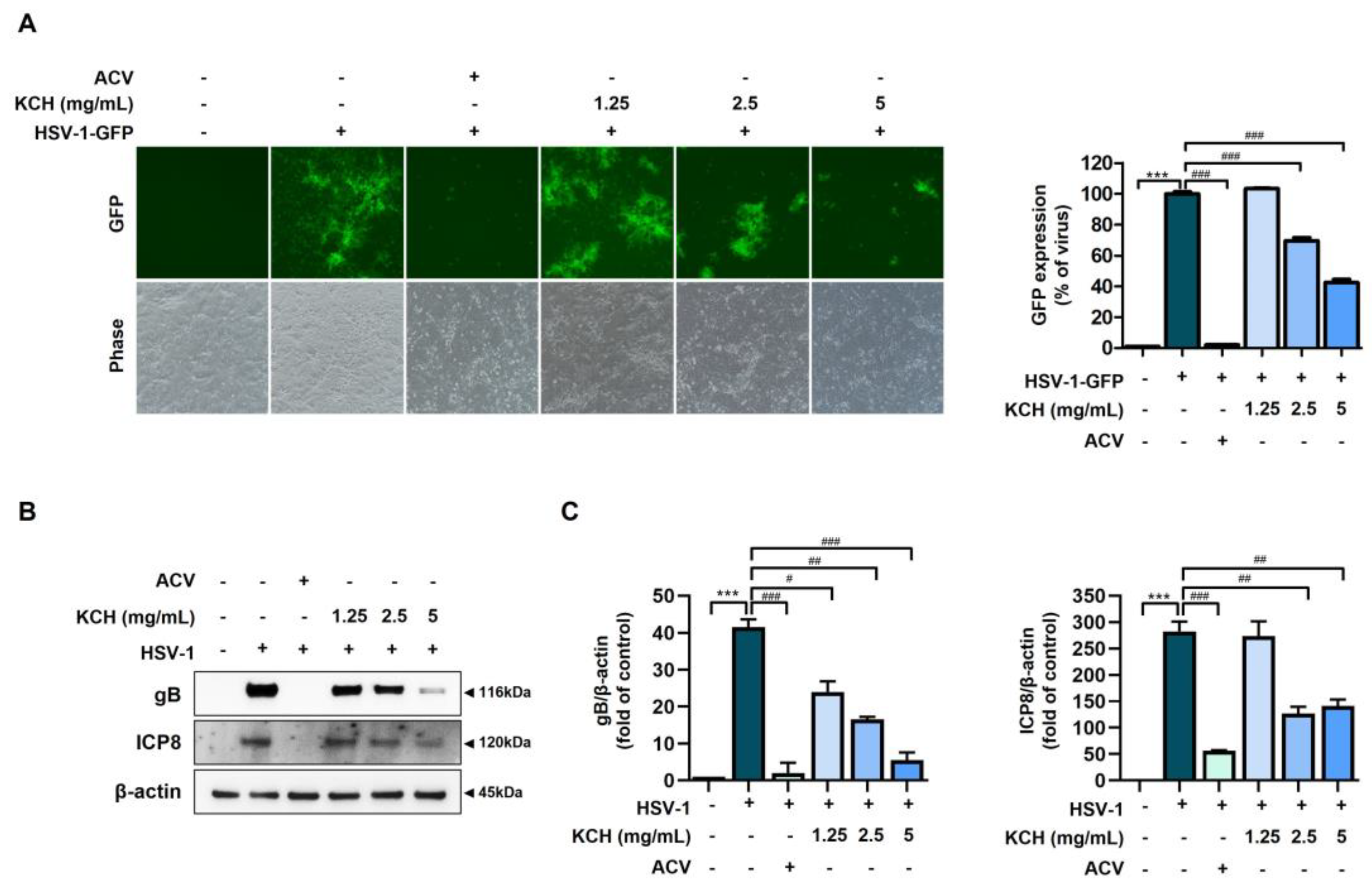 Antioxidants 12 01935 g003