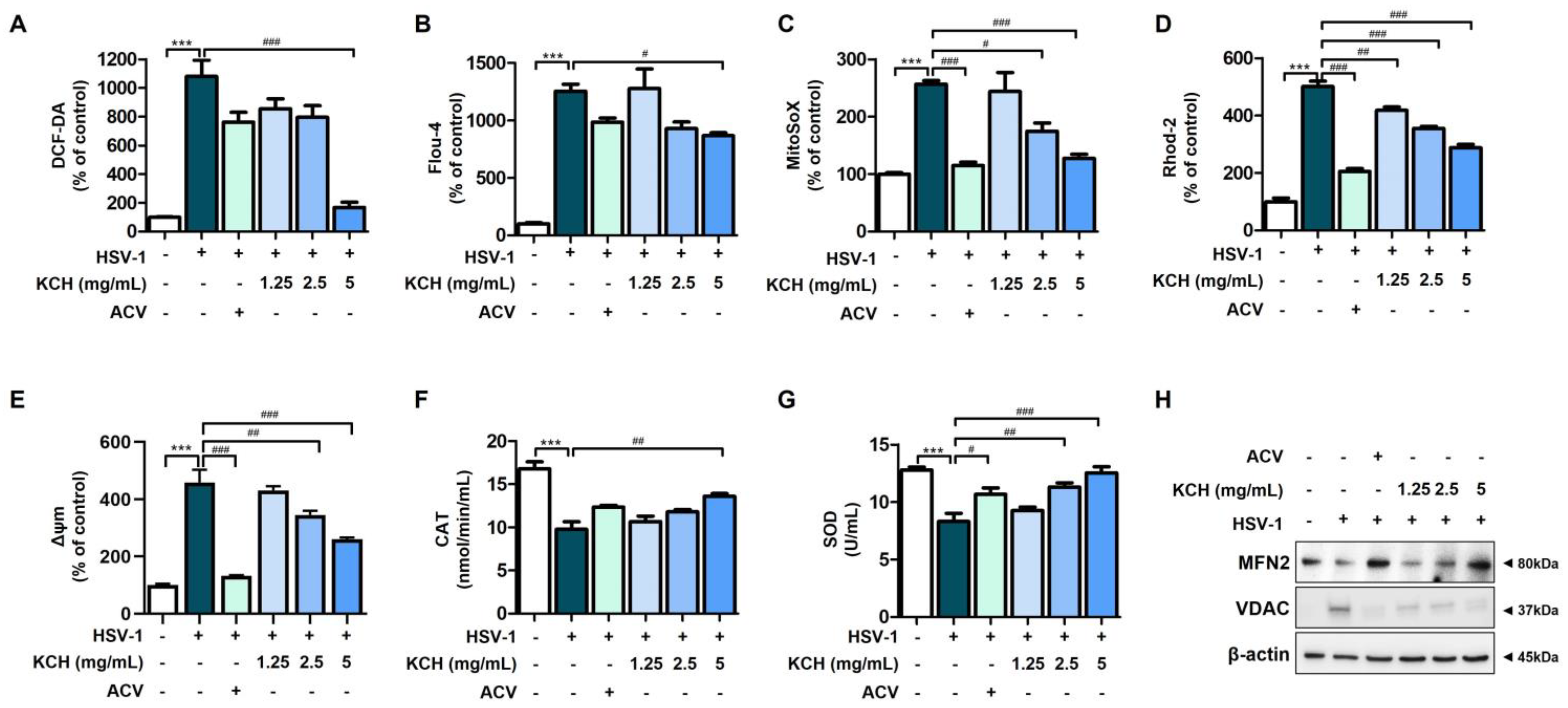 Antioxidants 12 01935 g005