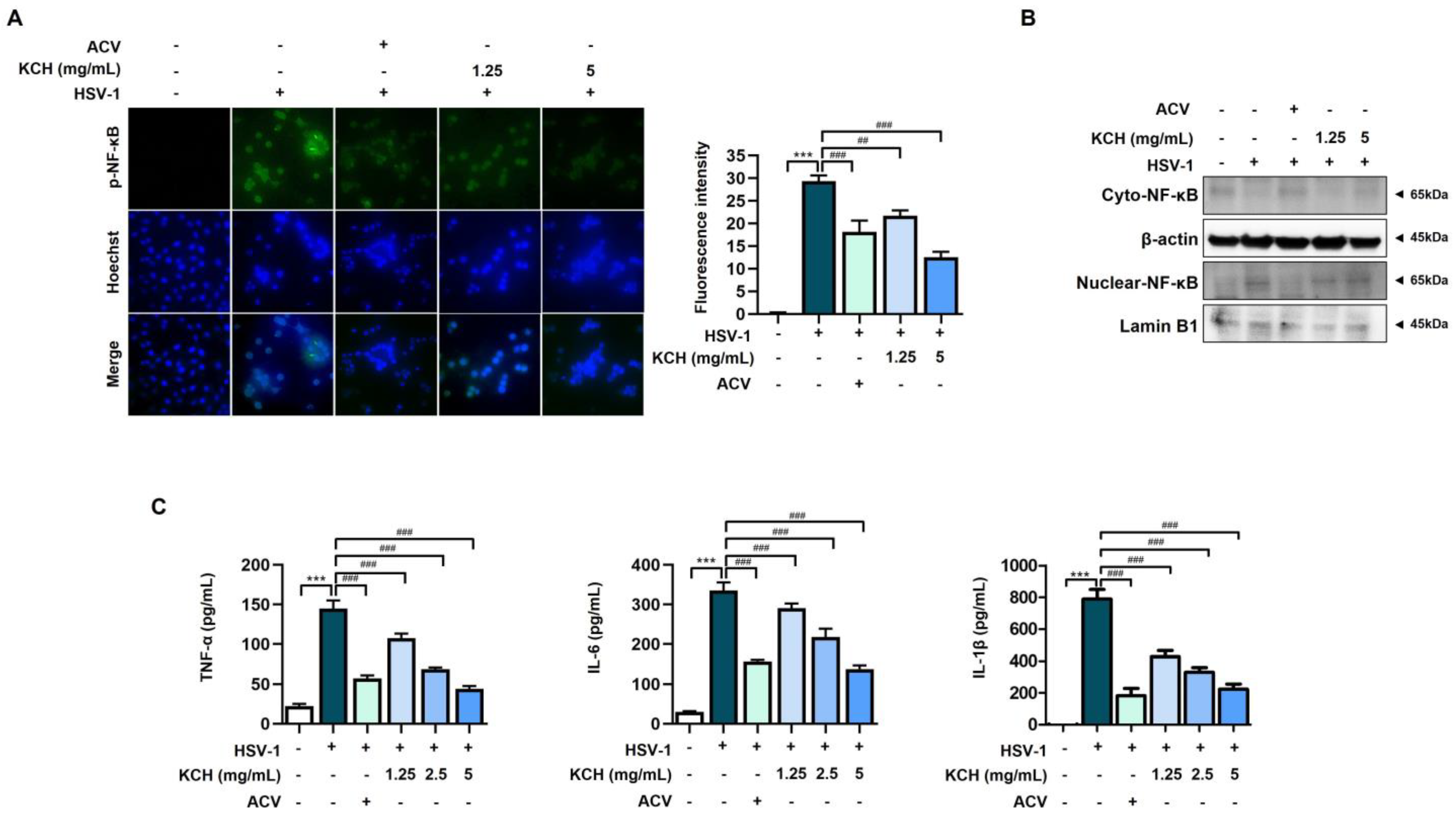 Antioxidants 12 01935 g006