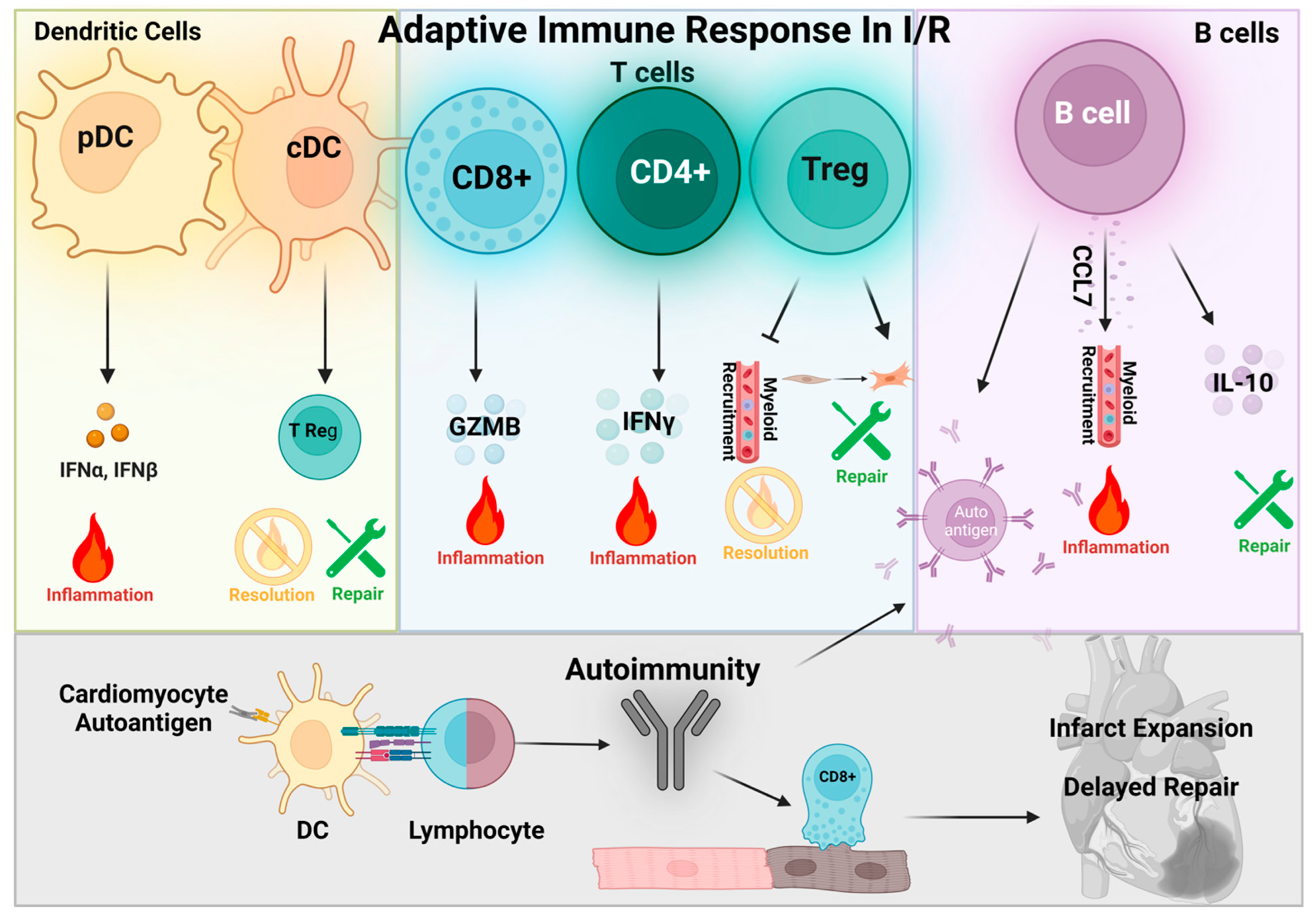 Antioxidants 12 01944 g004