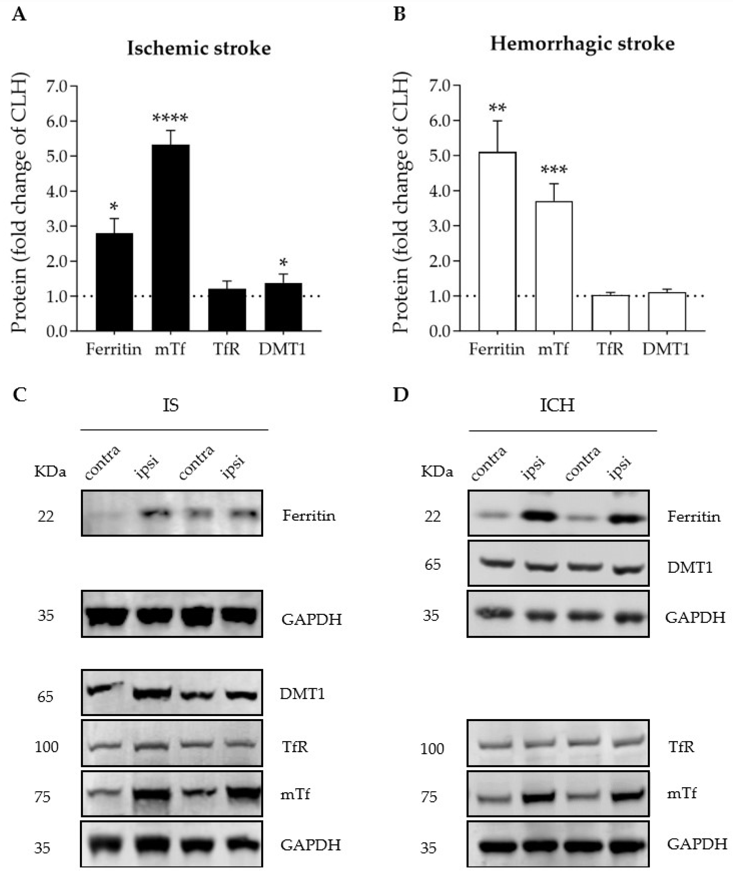 Antioxidants 12 01945 g002