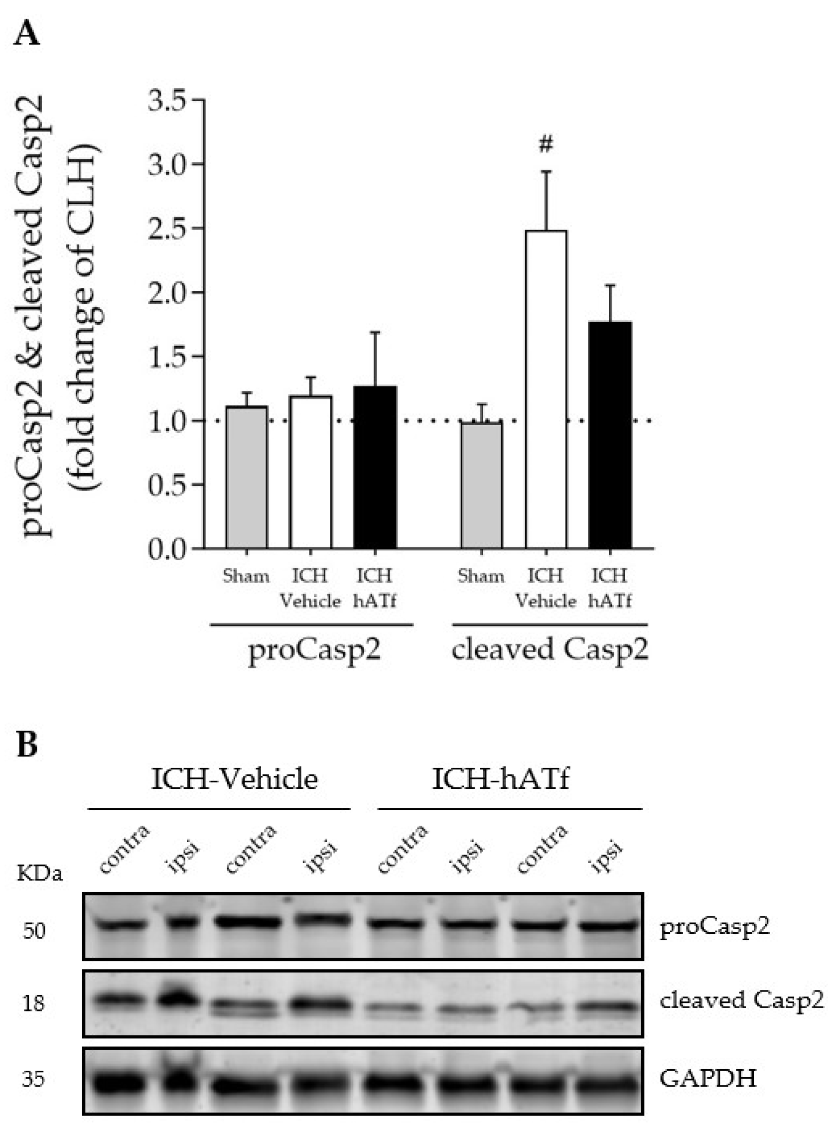 Antioxidants 12 01945 g008