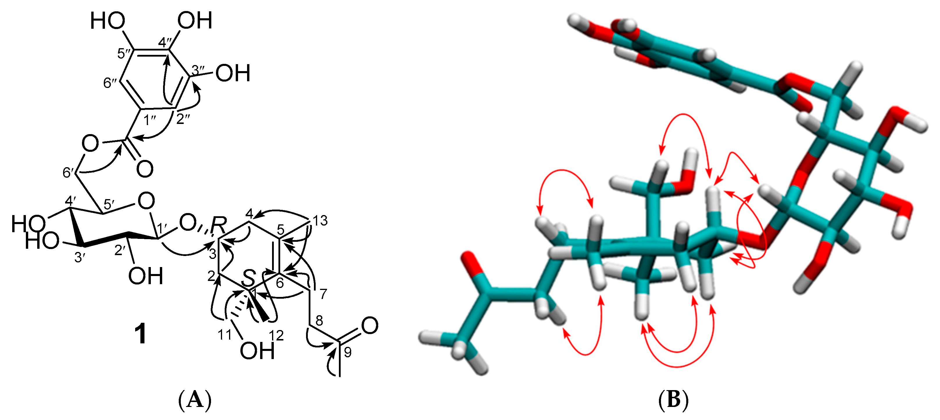 Antioxidants 12 01951 g002