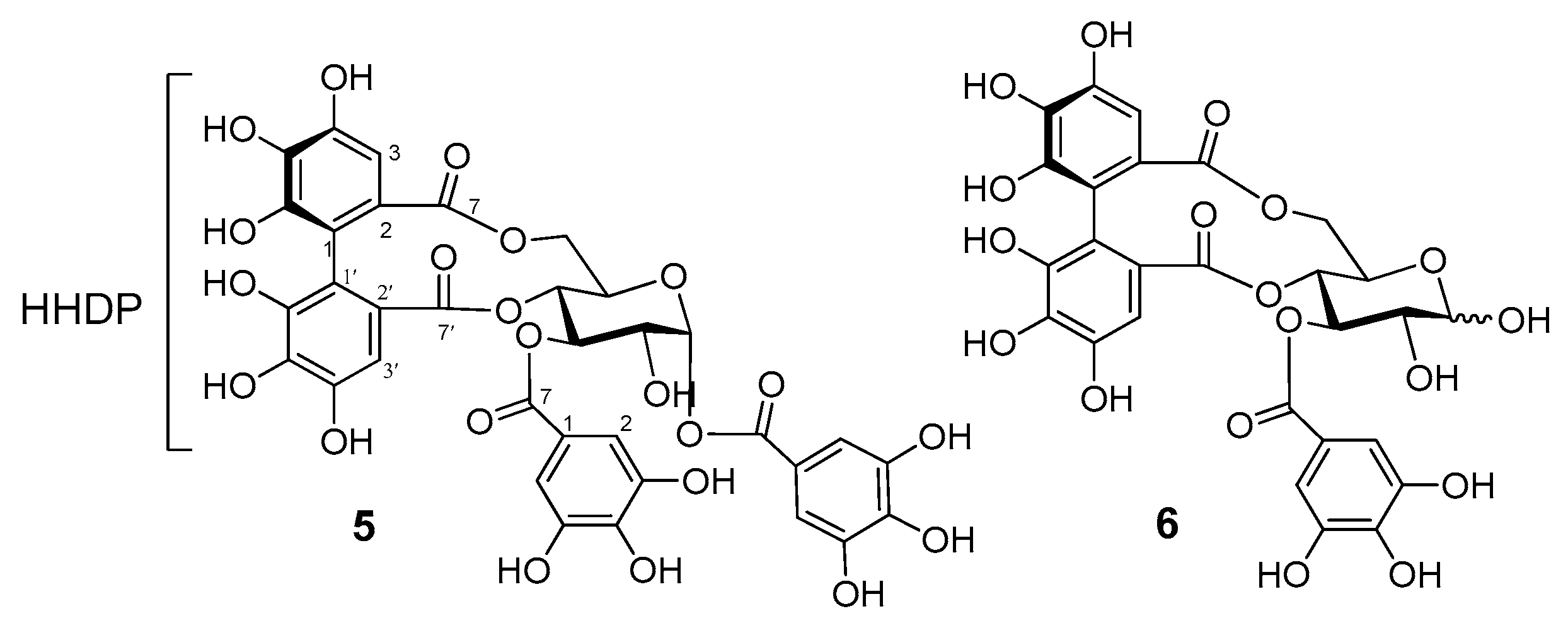 Antioxidants 12 01951 g005