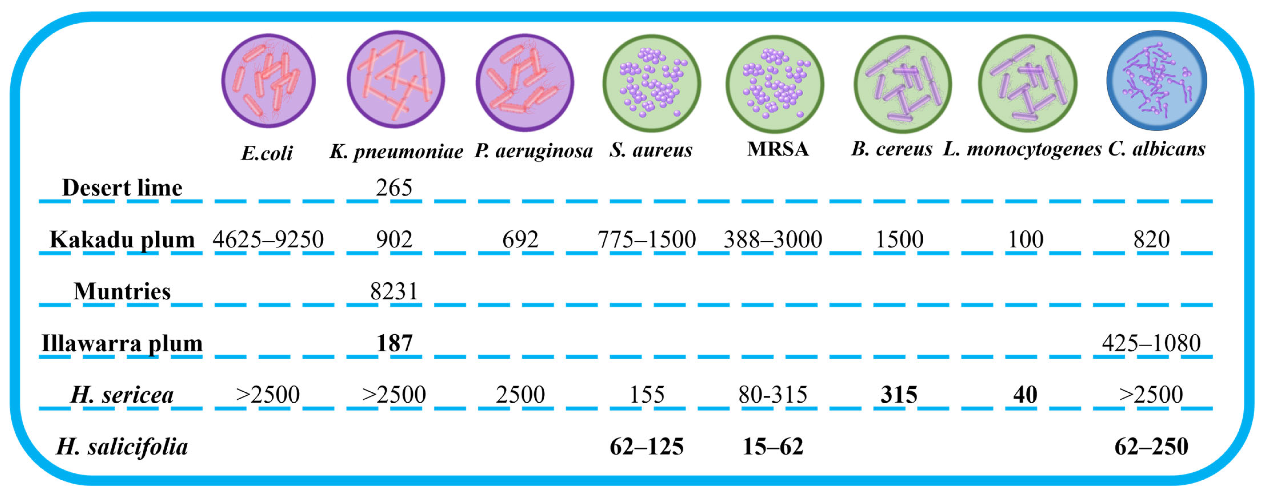 Antioxidants 12 01952 g003 Antioxidants 12 01952 g003