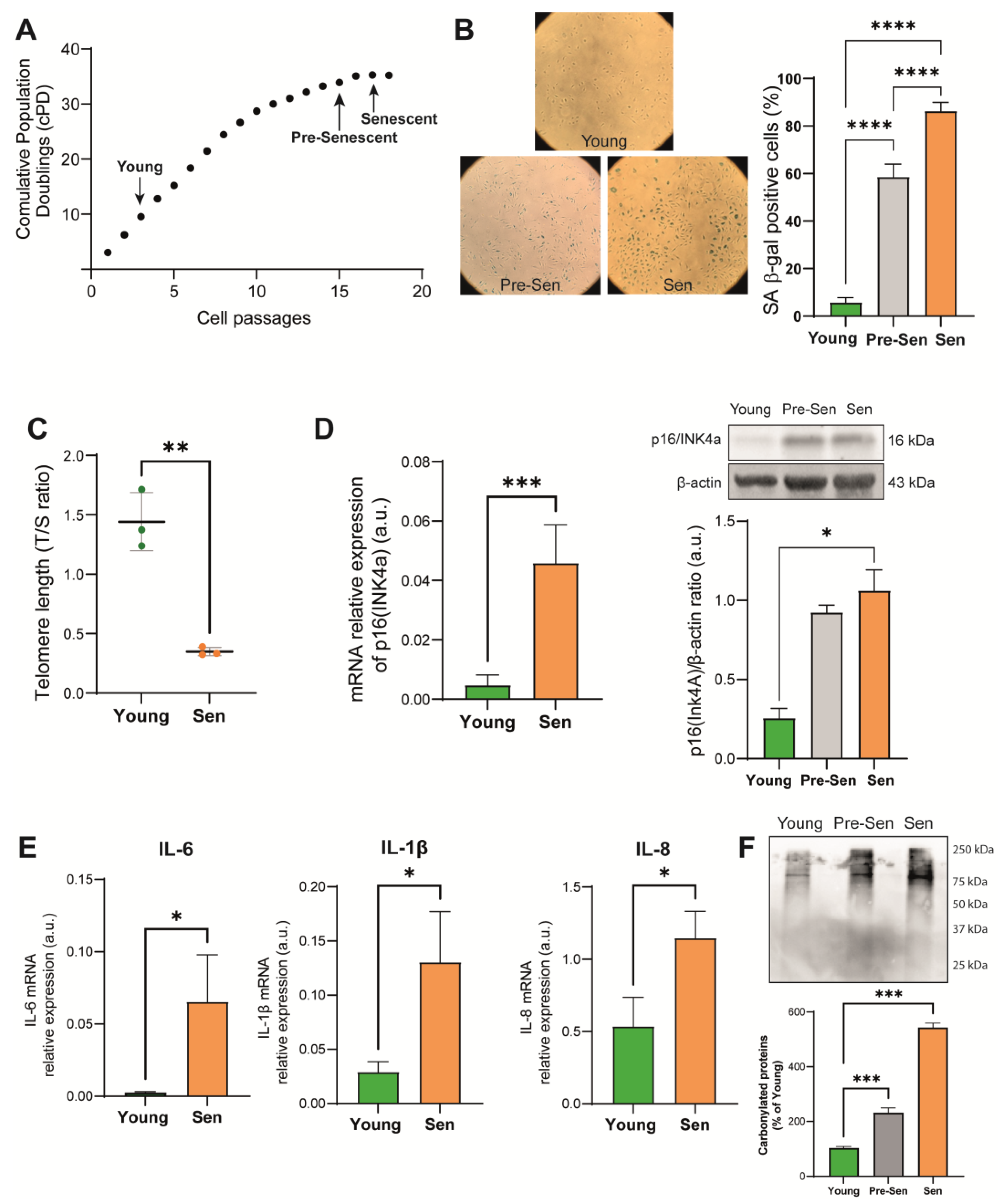 Antioxidants 12 01956 g001 Antioxidants 12 01956 g001