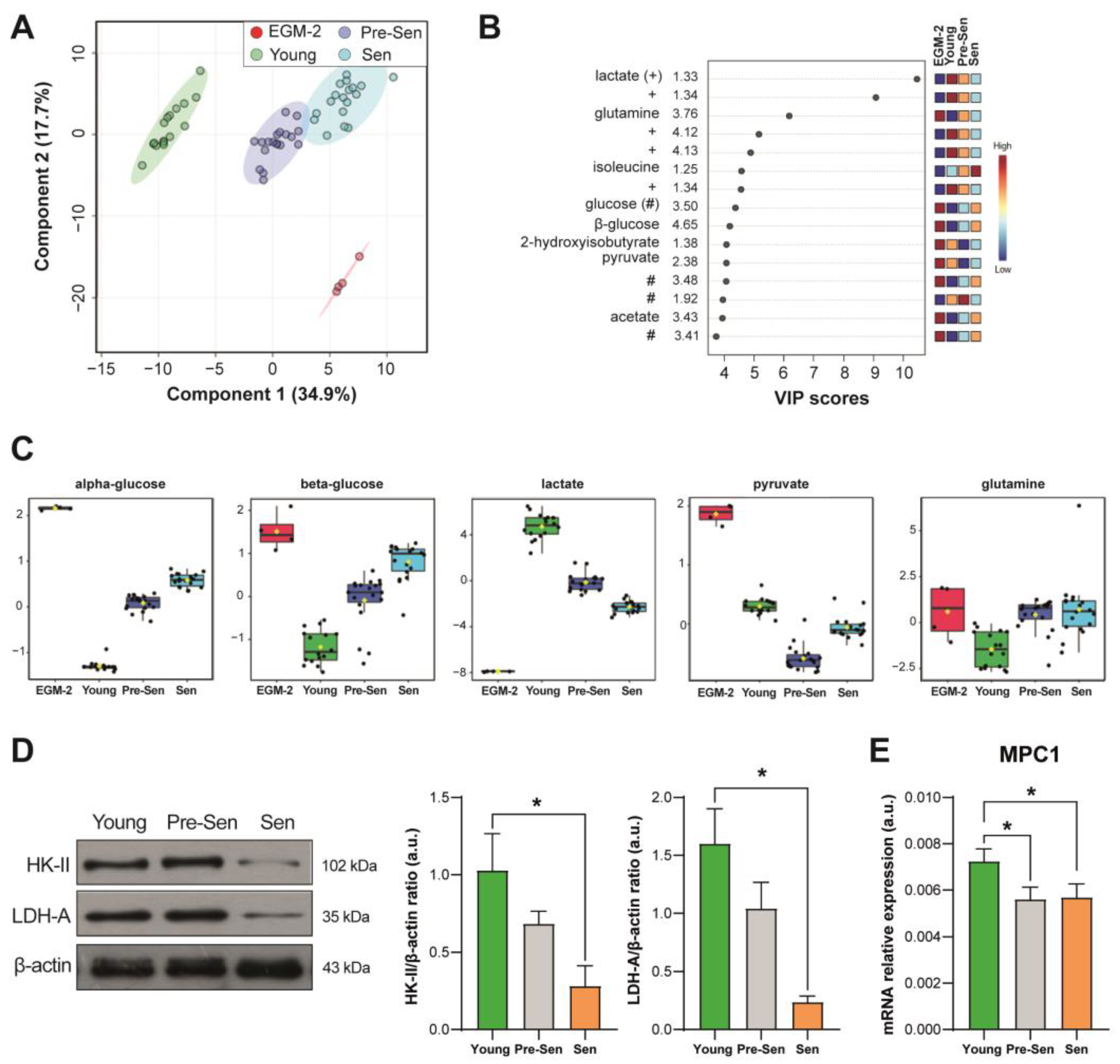 Antioxidants 12 01956 g002 Antioxidants 12 01956 g002