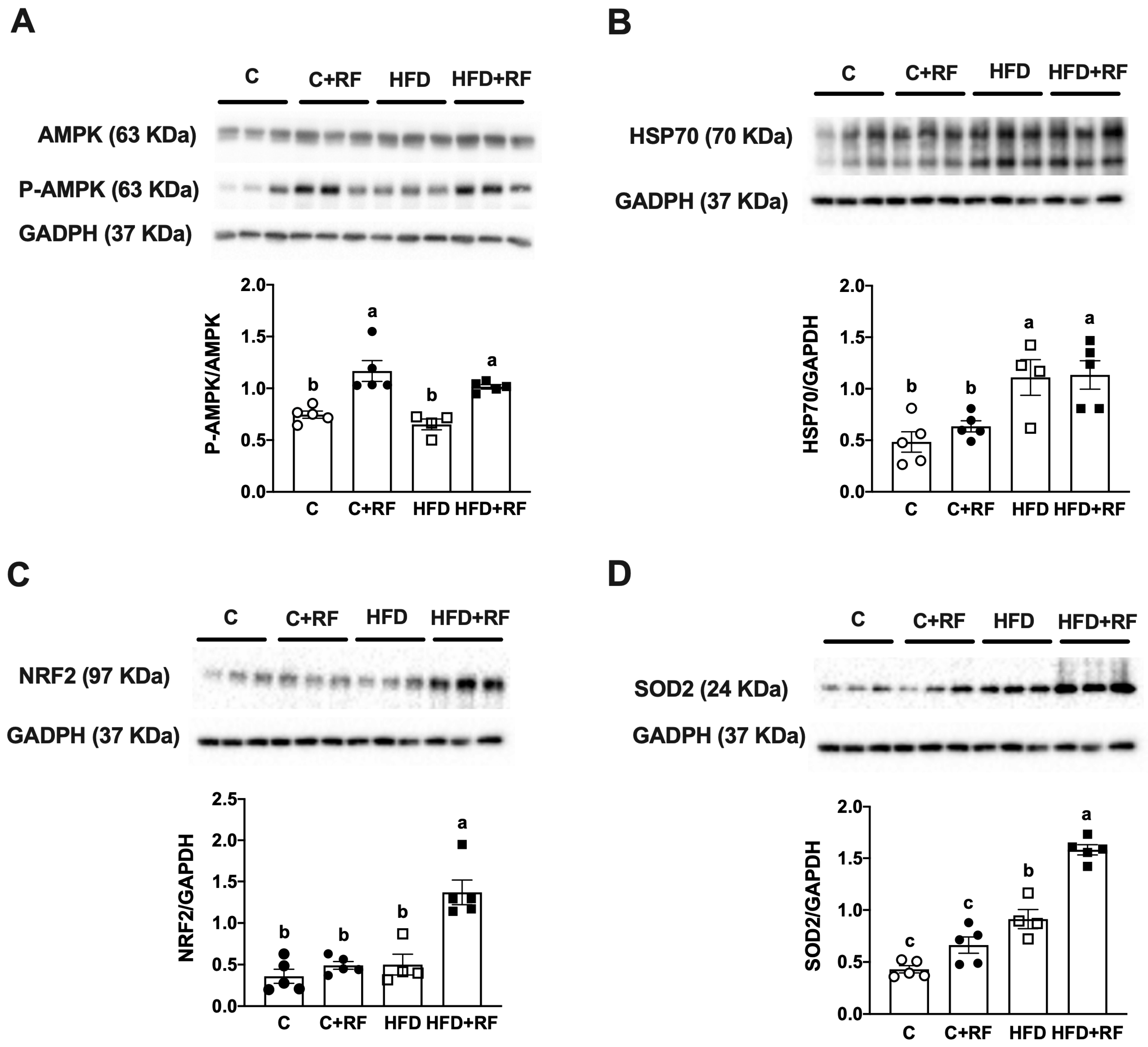 Antioxidants 12 01957 g007