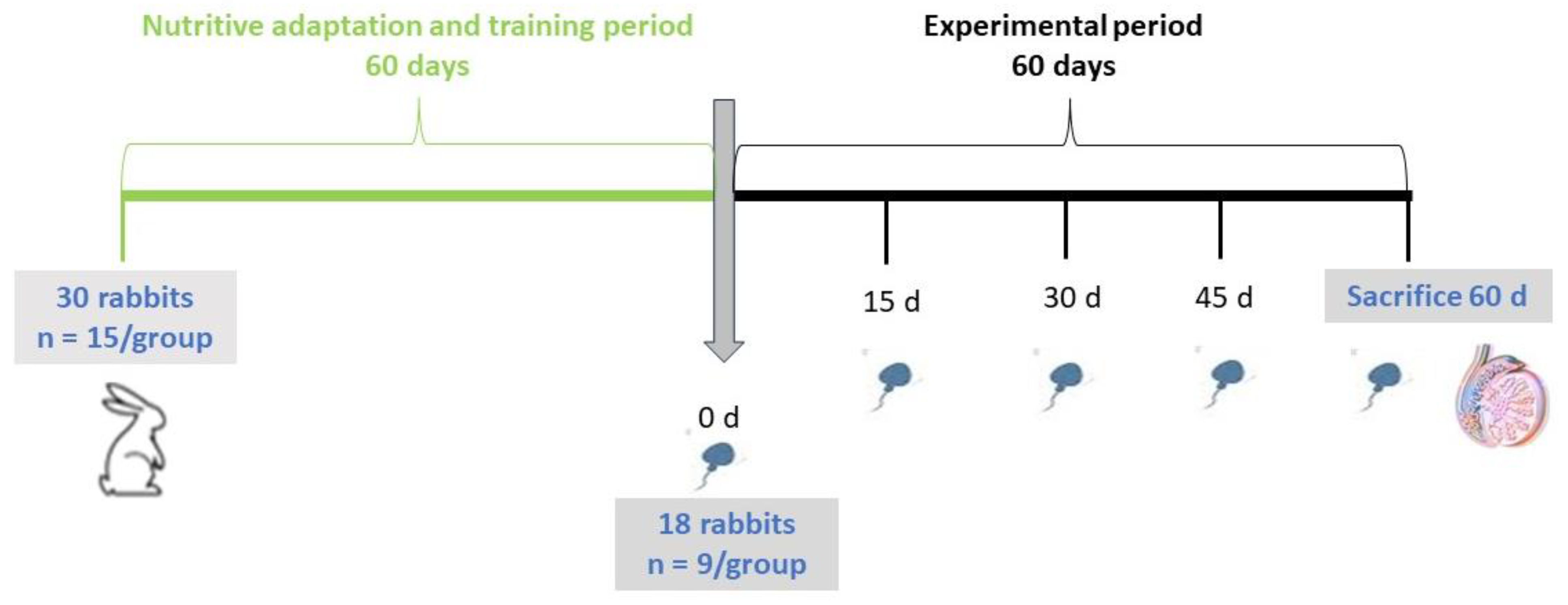 Antioxidants 12 01959 g001