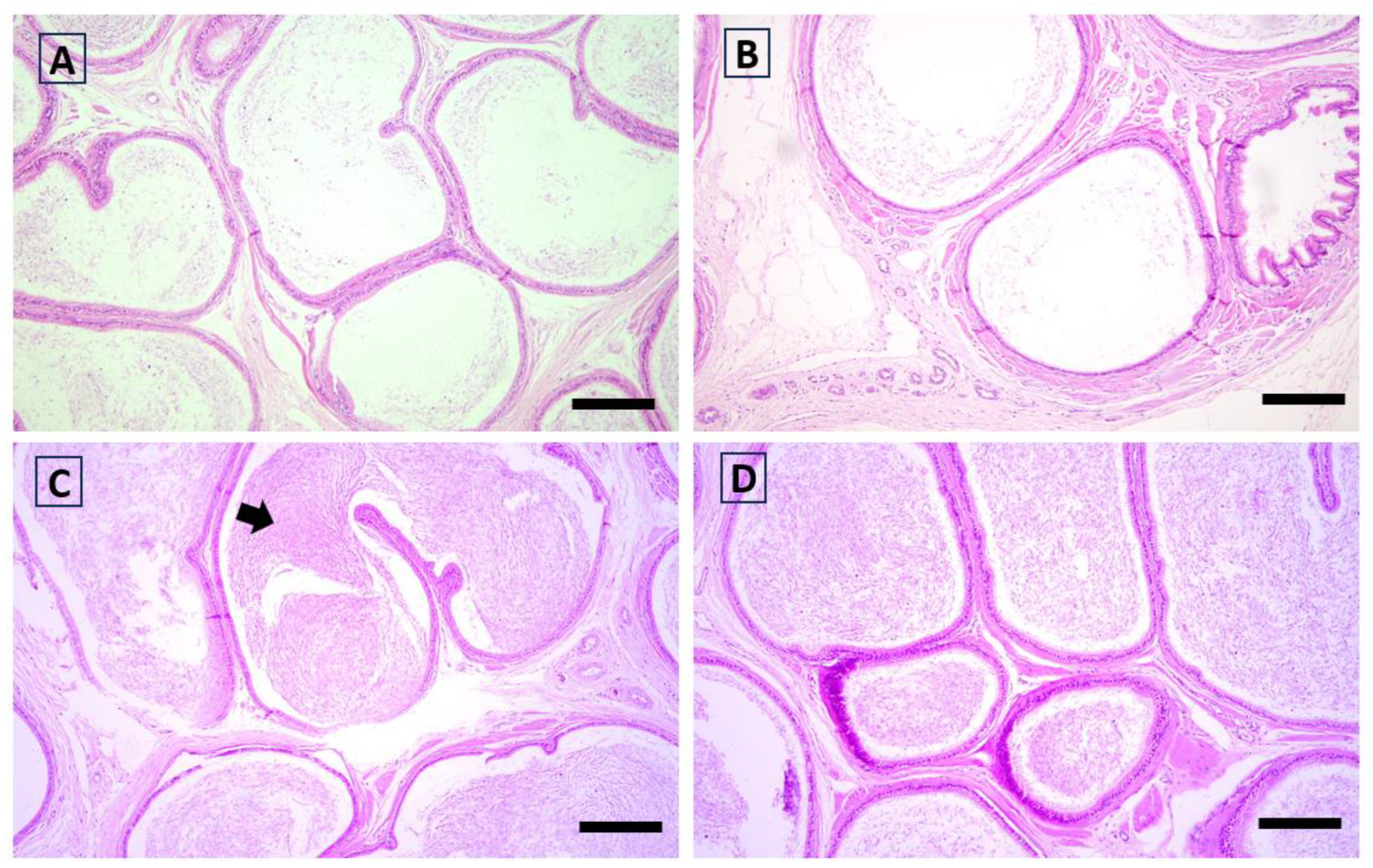 Antioxidants 12 01959 g003