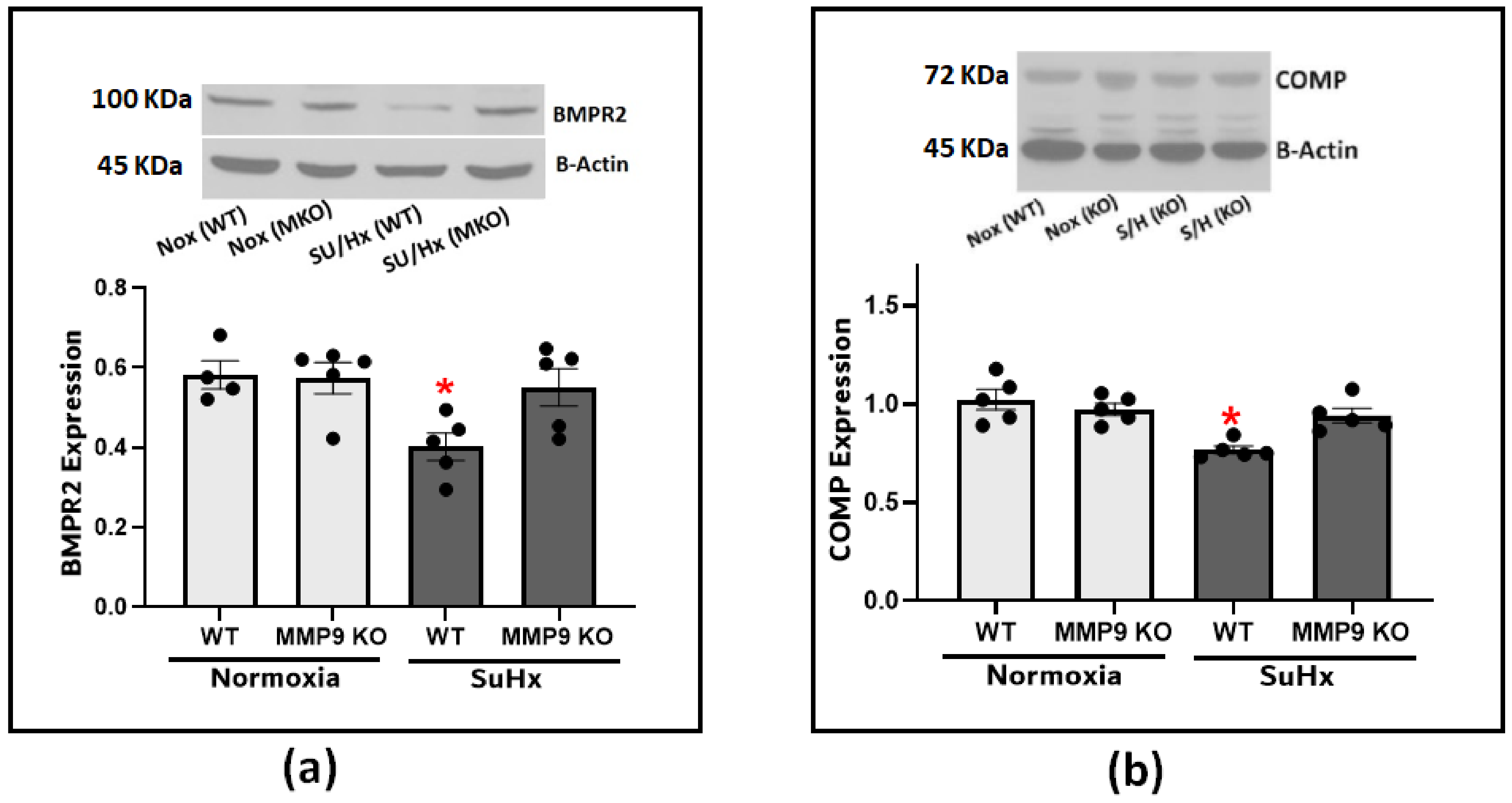 Antioxidants 12 01961 g004 Antioxidants 12 01961 g004