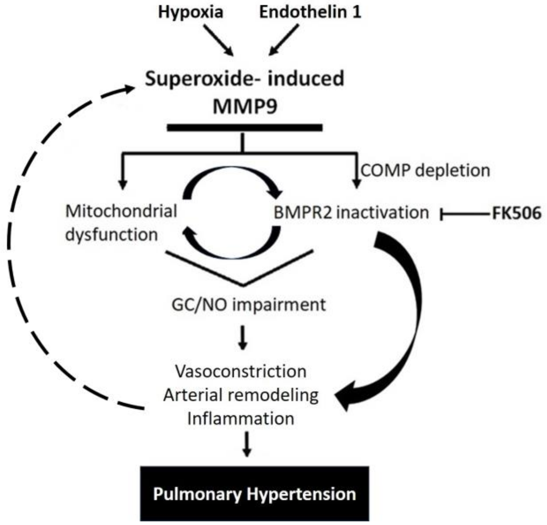 Antioxidants 12 01961 g007 Antioxidants 12 01961 g007