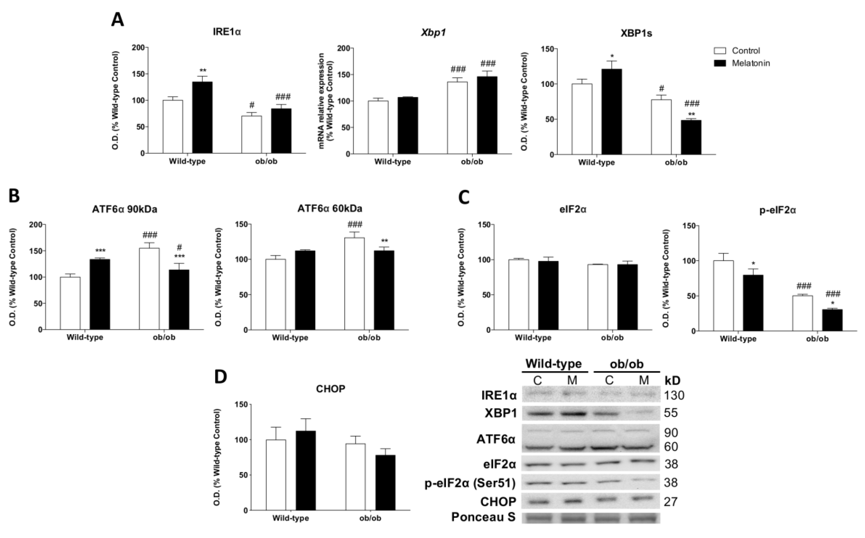 Antioxidants 12 01962 g005 Antioxidants 12 01962 g005
