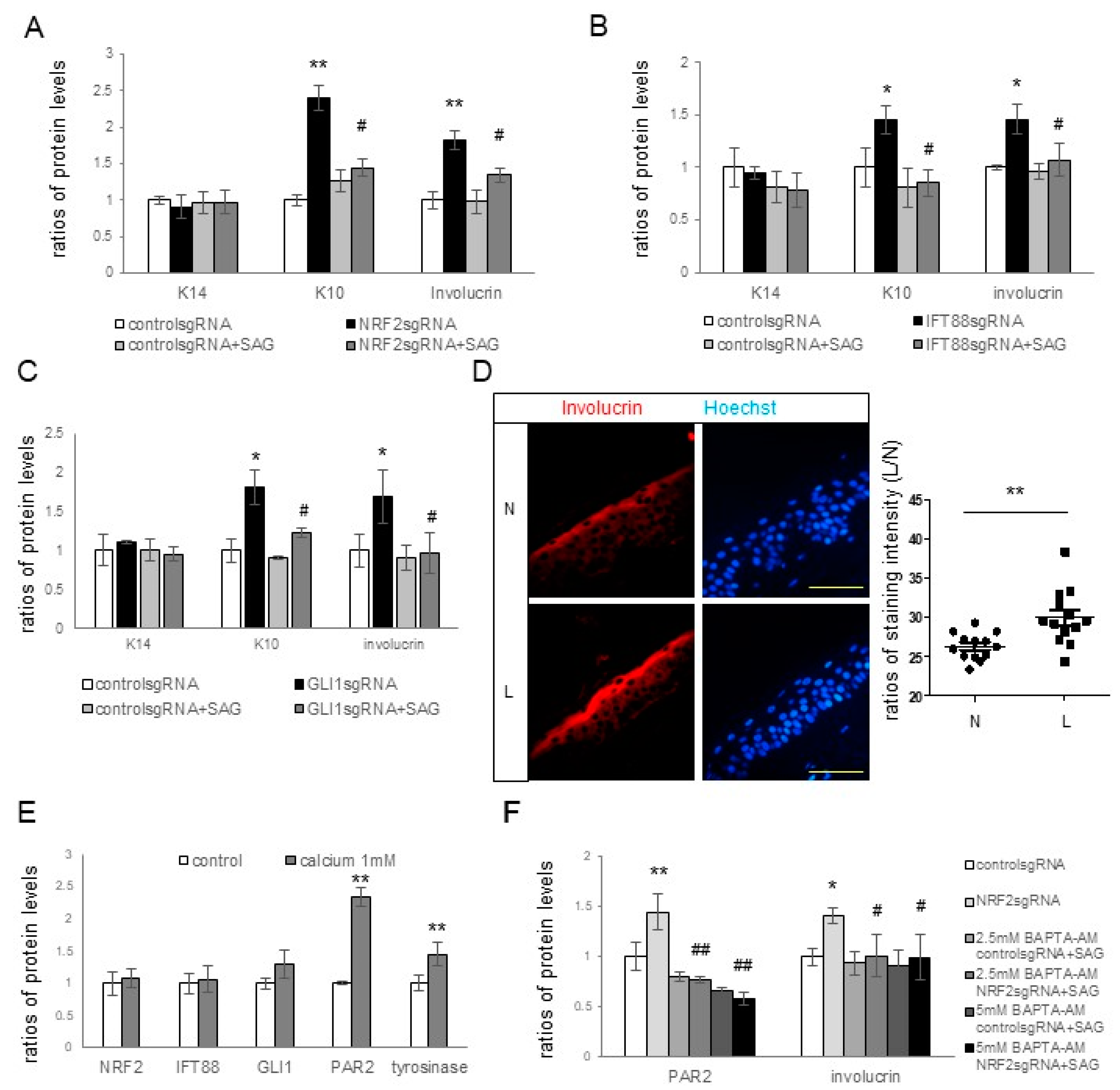 Antioxidants 12 01969 g004