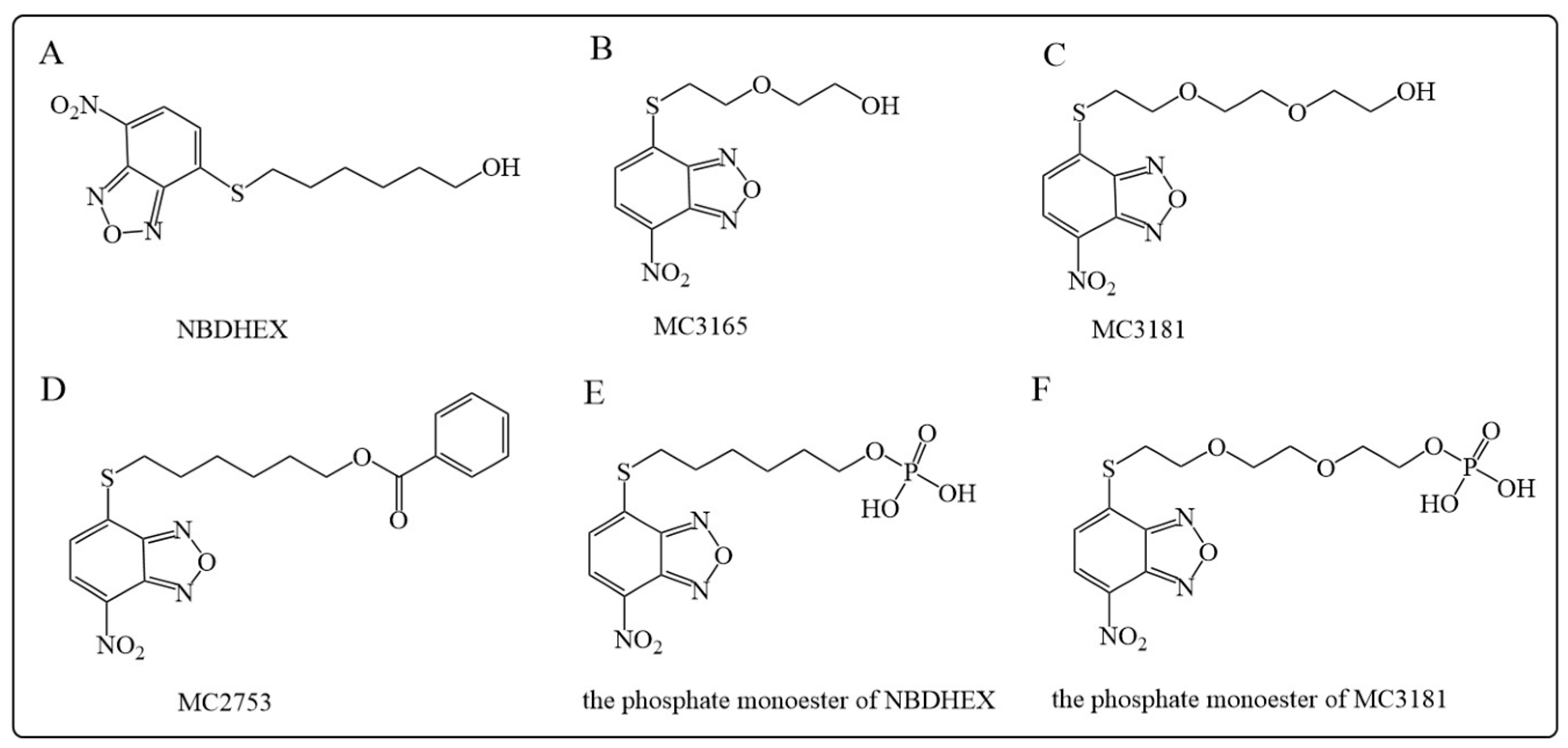 Antioxidants 12 01970 g007