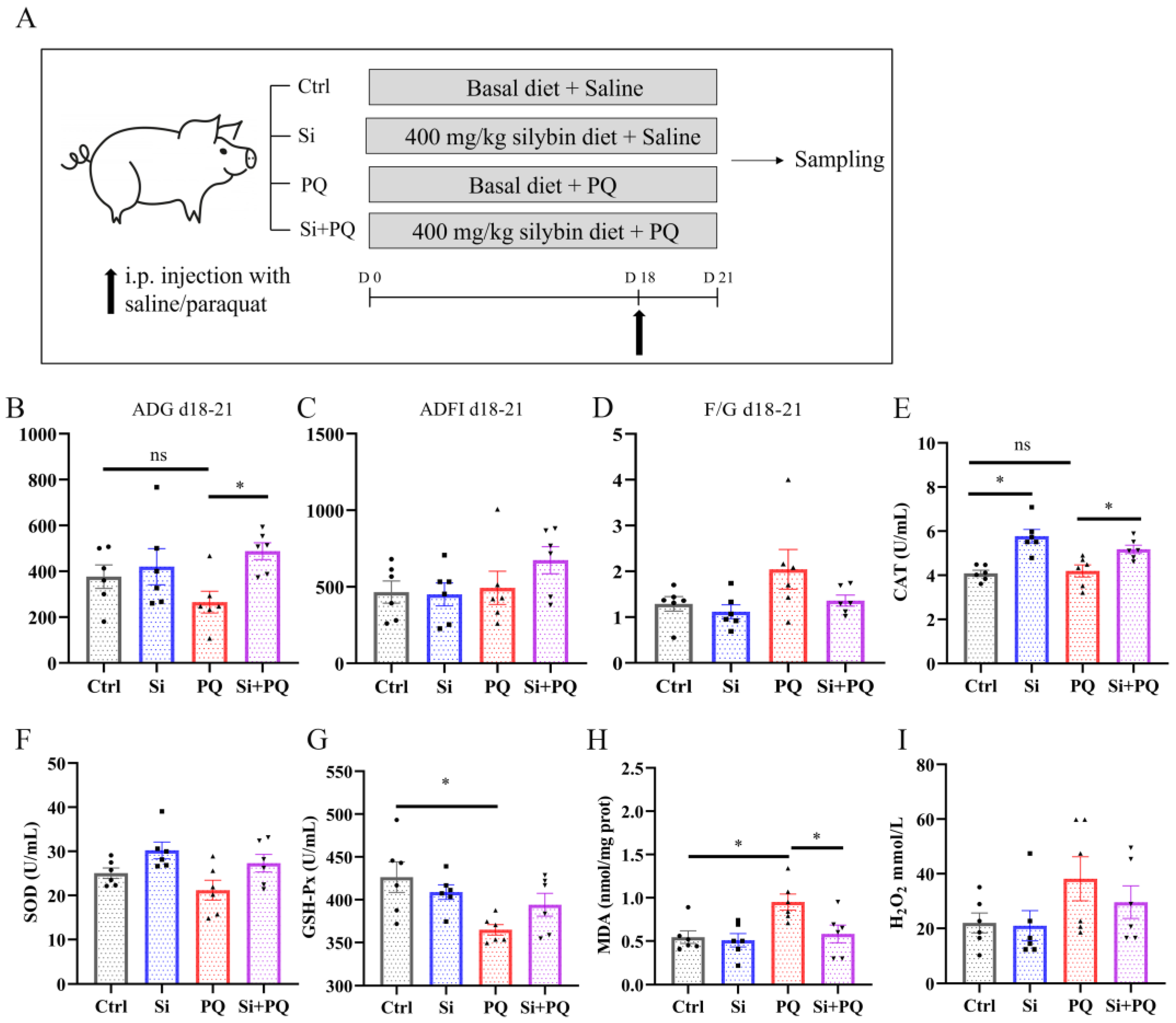 Antioxidants 12 01975 g001