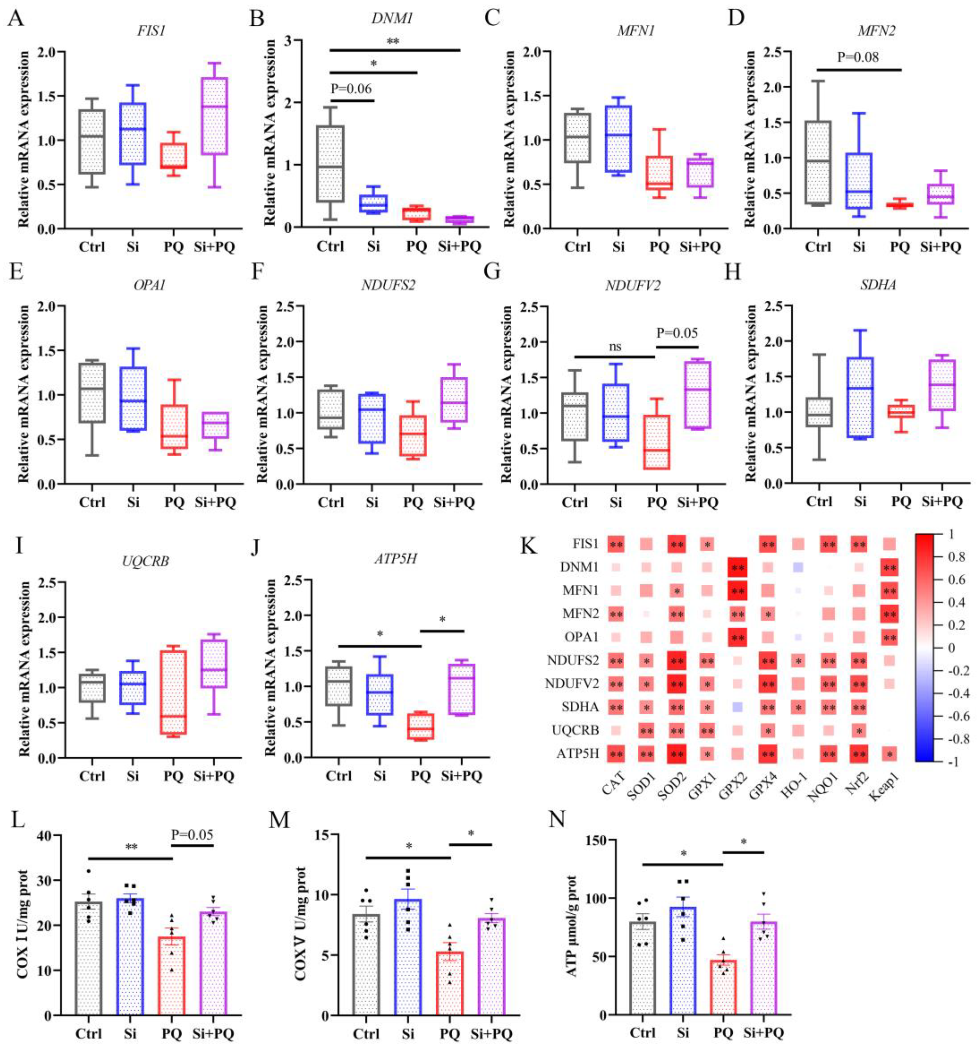 Antioxidants 12 01975 g003