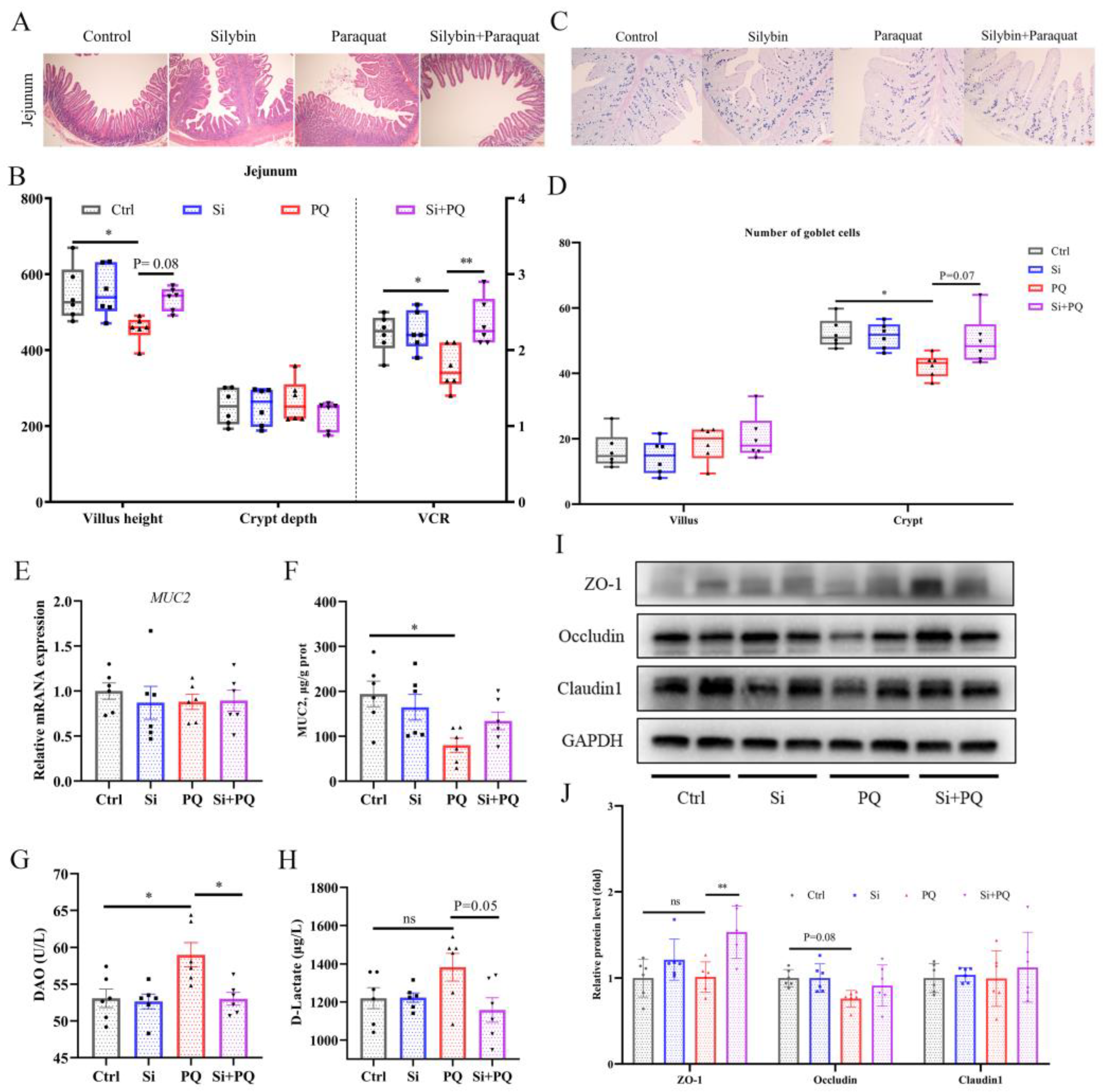 Antioxidants 12 01975 g005