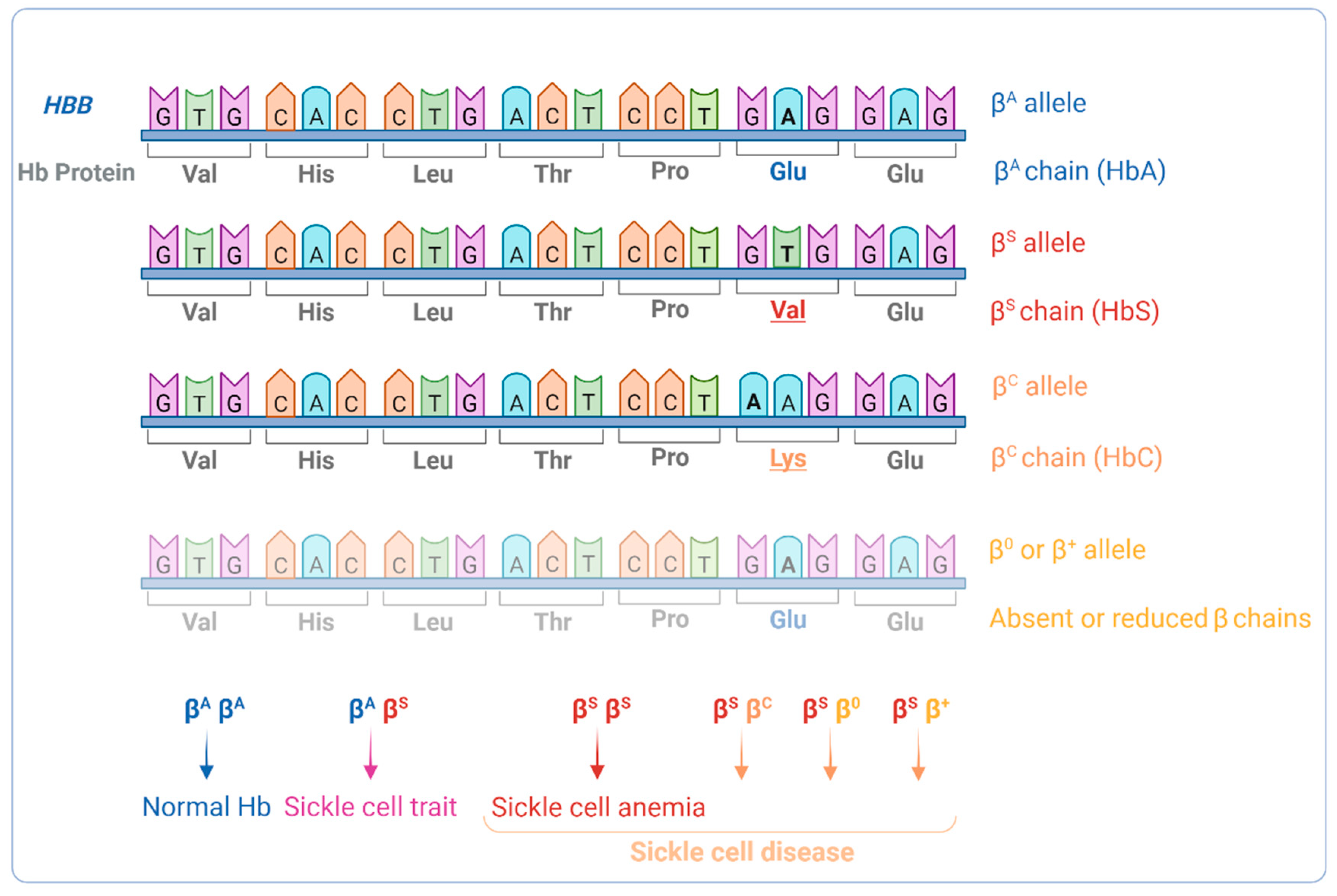 Antioxidants 12 01977 g001 Antioxidants 12 01977 g001