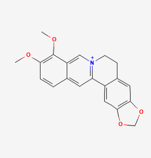Antioxidants 12 01978 i010 Antioxidants 12 01978 i010
