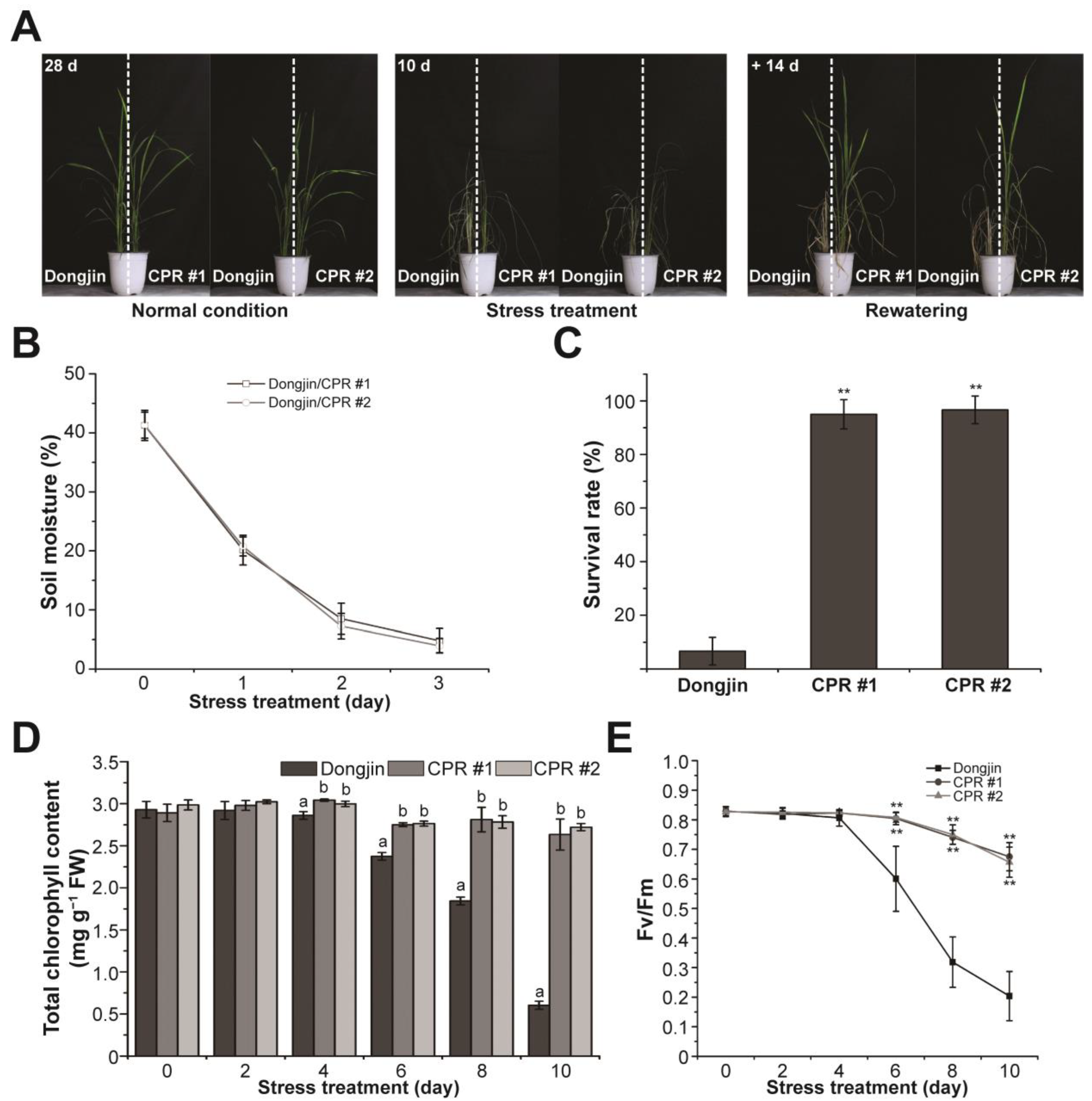 Antioxidants 12 01984 g002