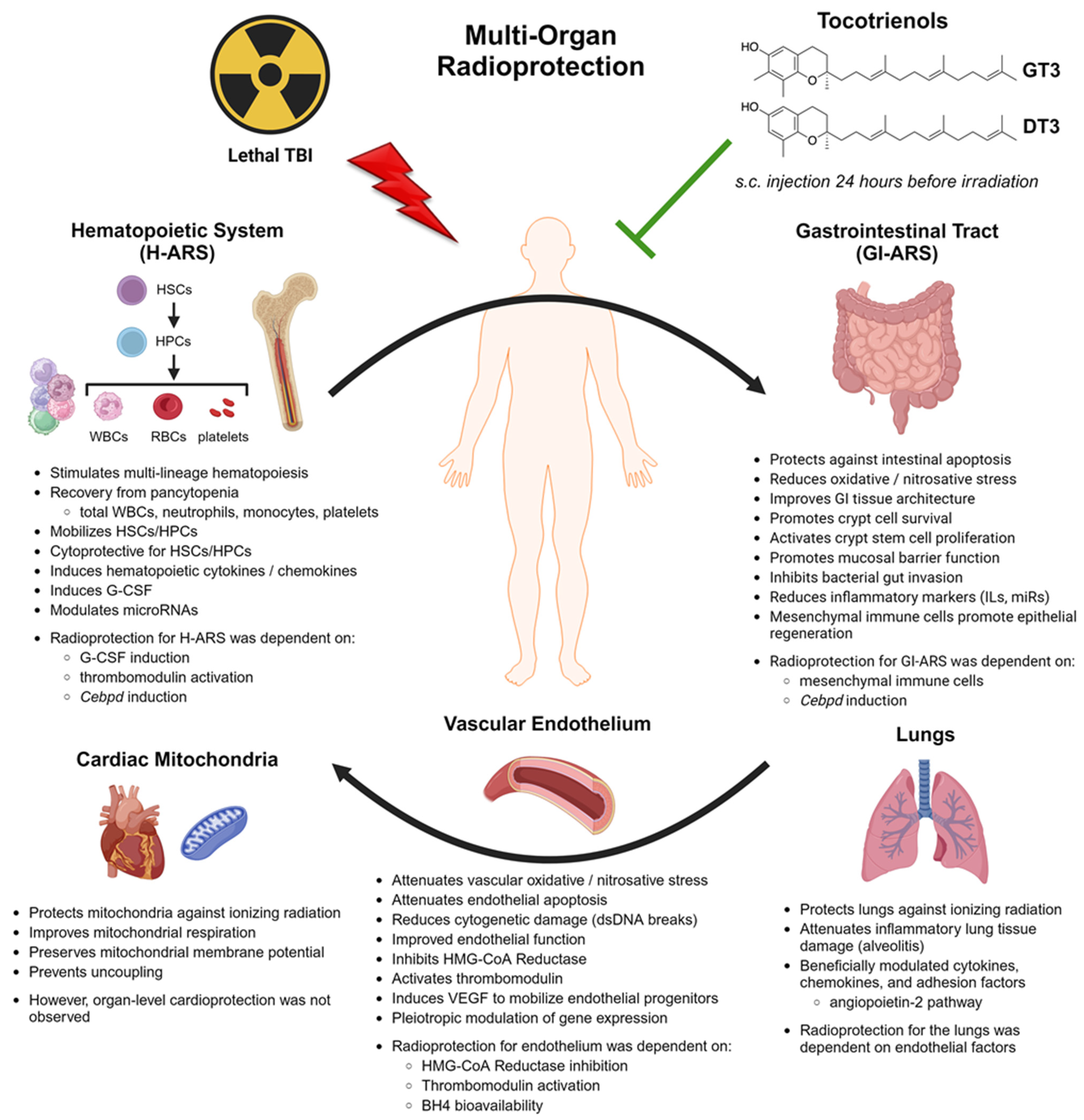 Antioxidants 12 01987 g002 Antioxidants 12 01987 g002