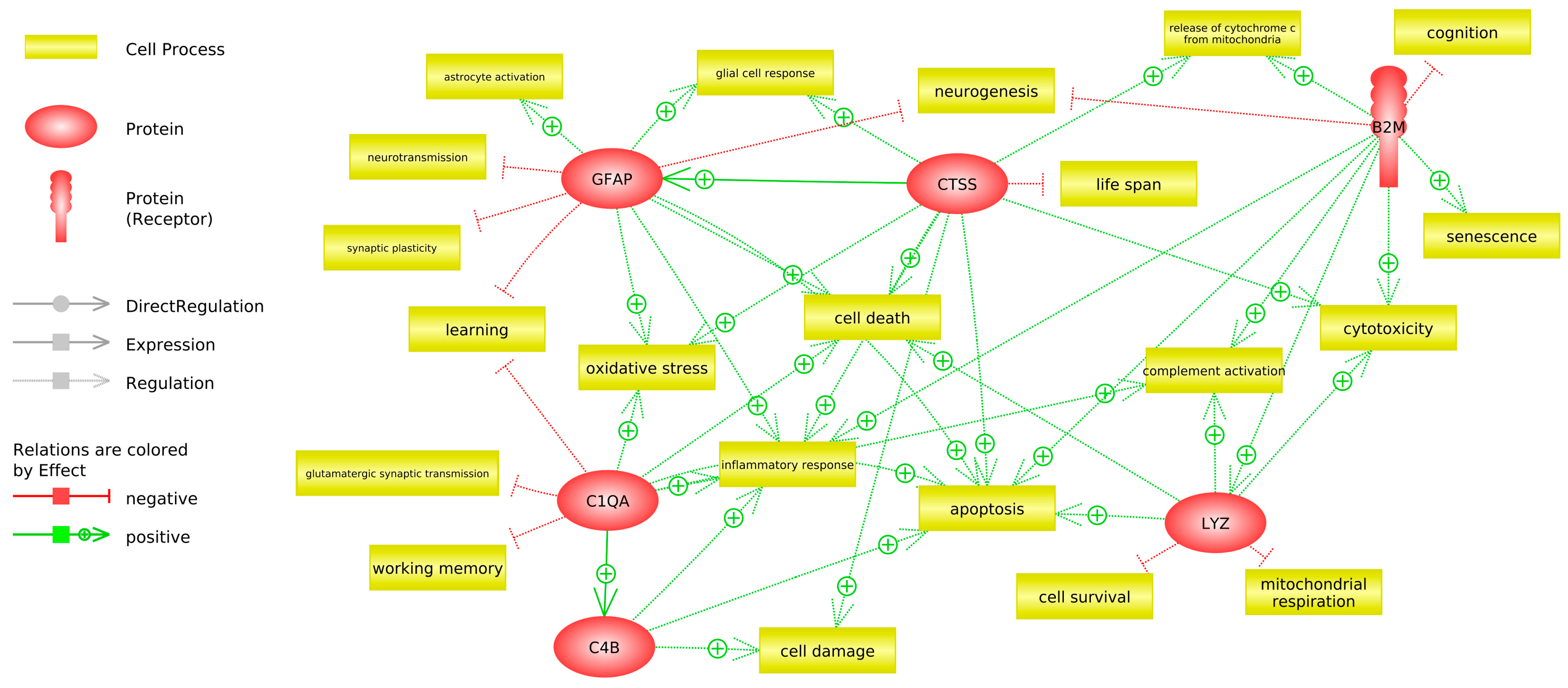 Antioxidants 12 01991 g008