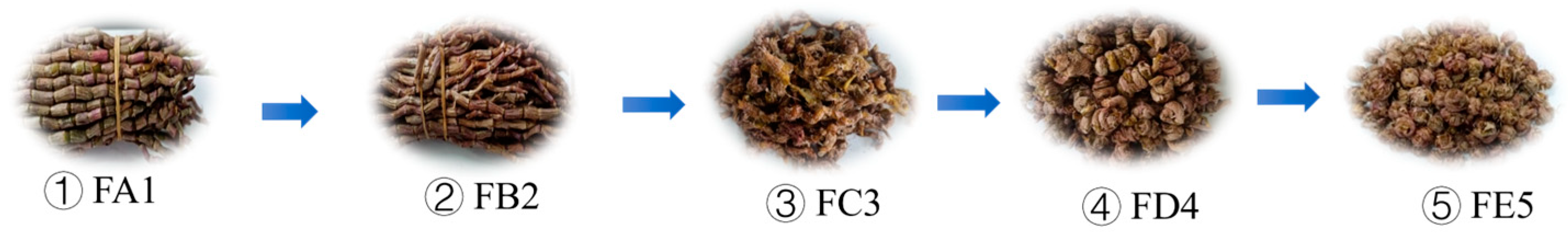 Antioxidants 12 01995 g001