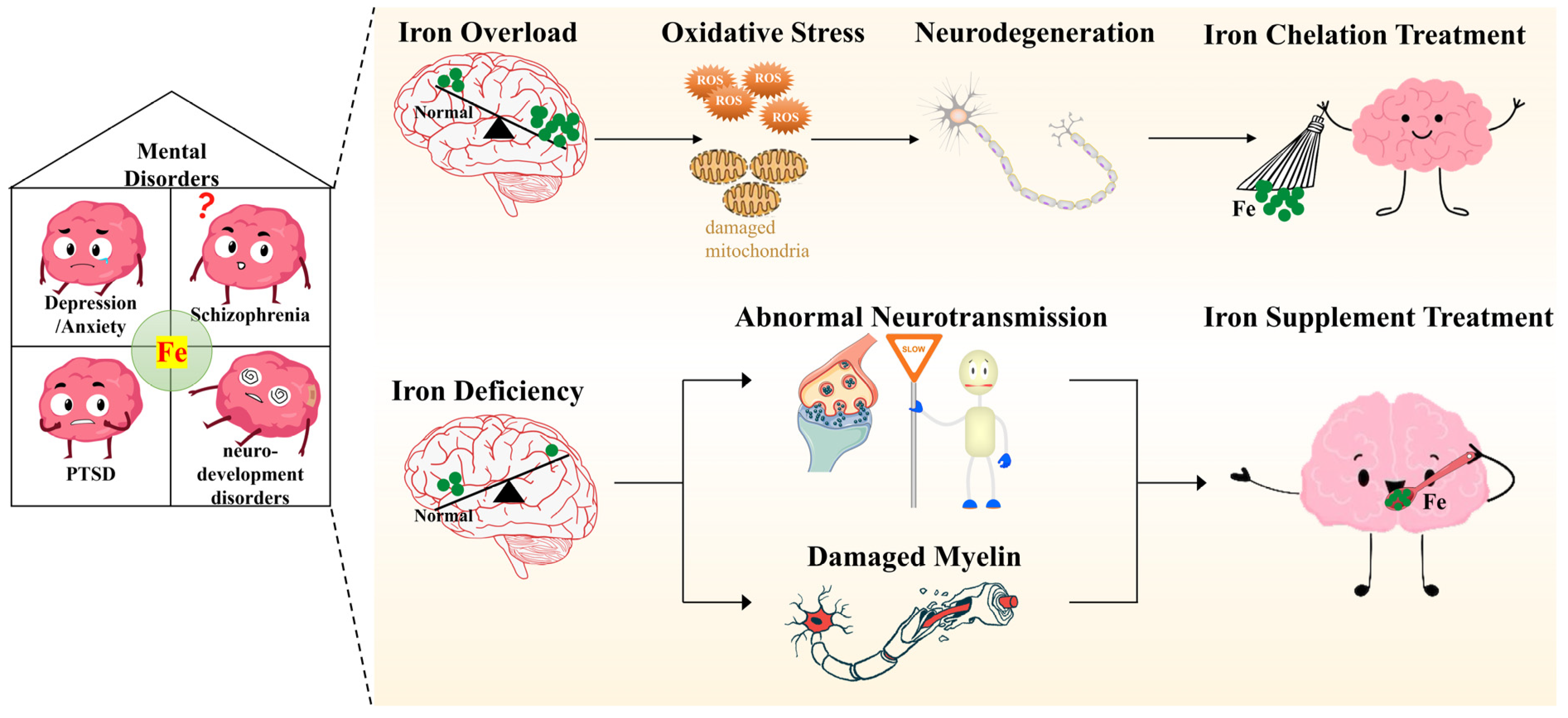Antioxidants 12 01997 g002 Antioxidants 12 01997 g002