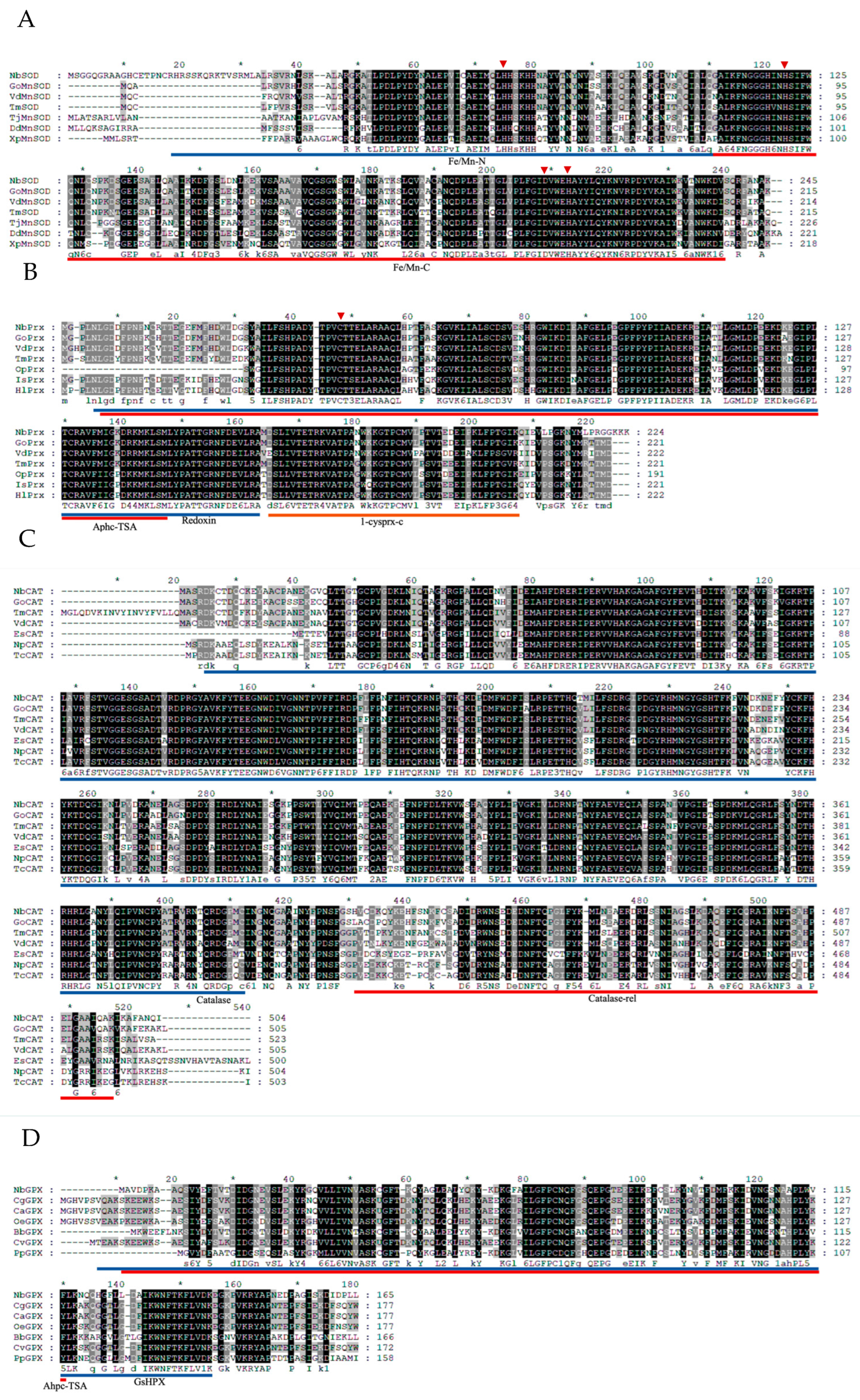 Antioxidants 12 01998 g003