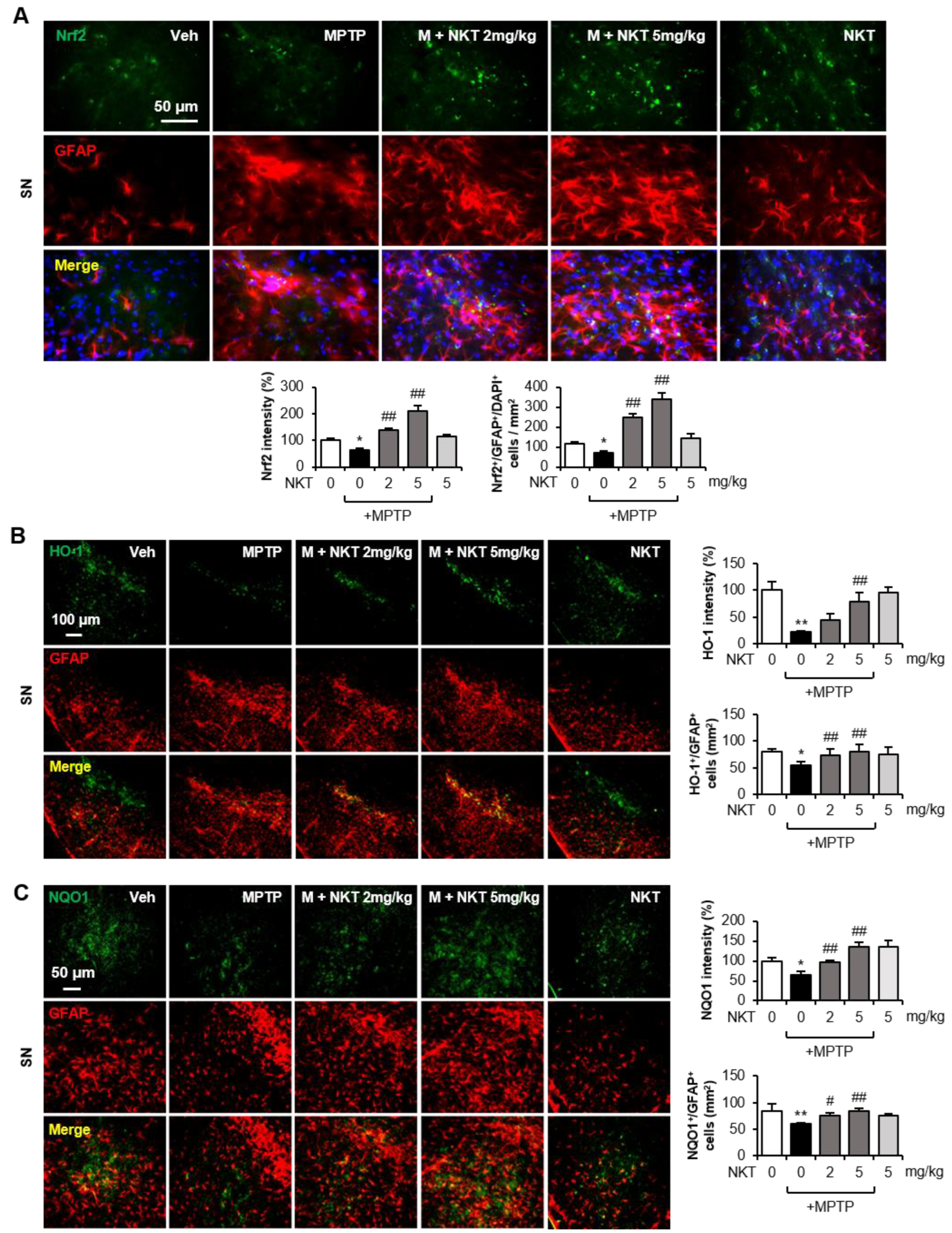 Antioxidants 12 01999 g004