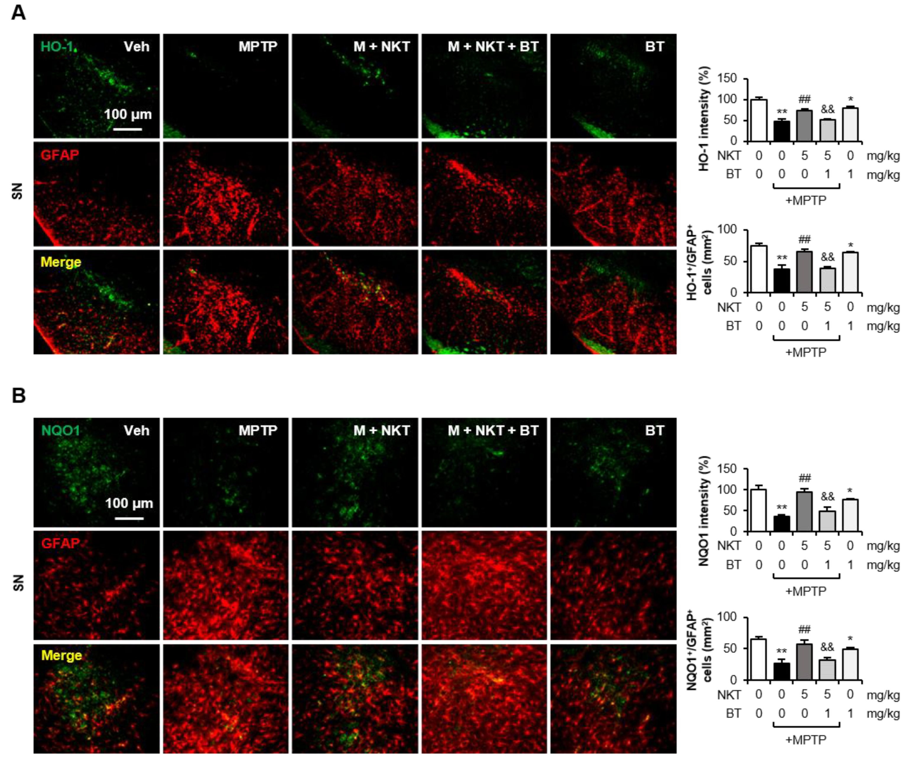Antioxidants 12 01999 g008