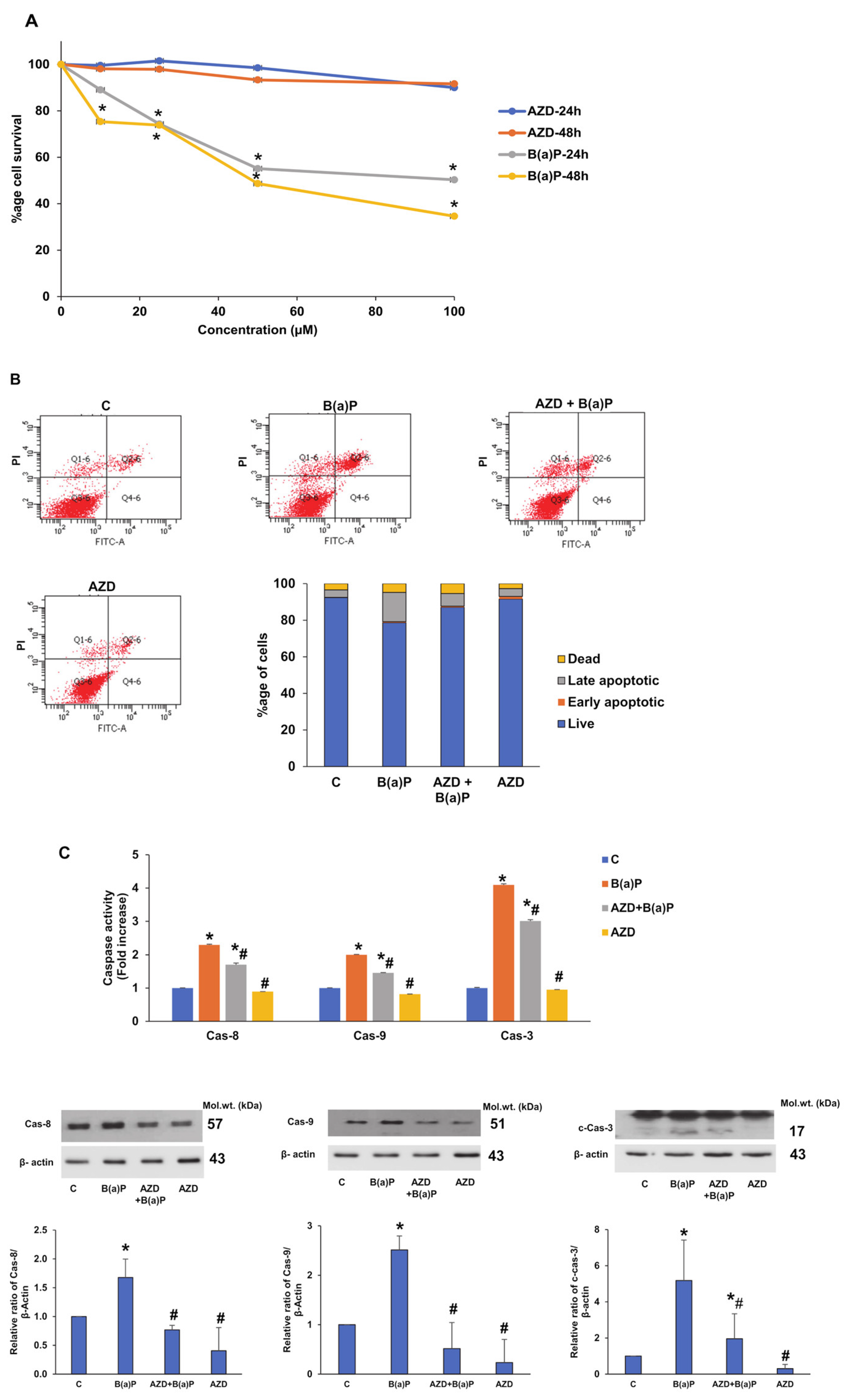 Antioxidants 12 02001 g001 Antioxidants 12 02001 g001