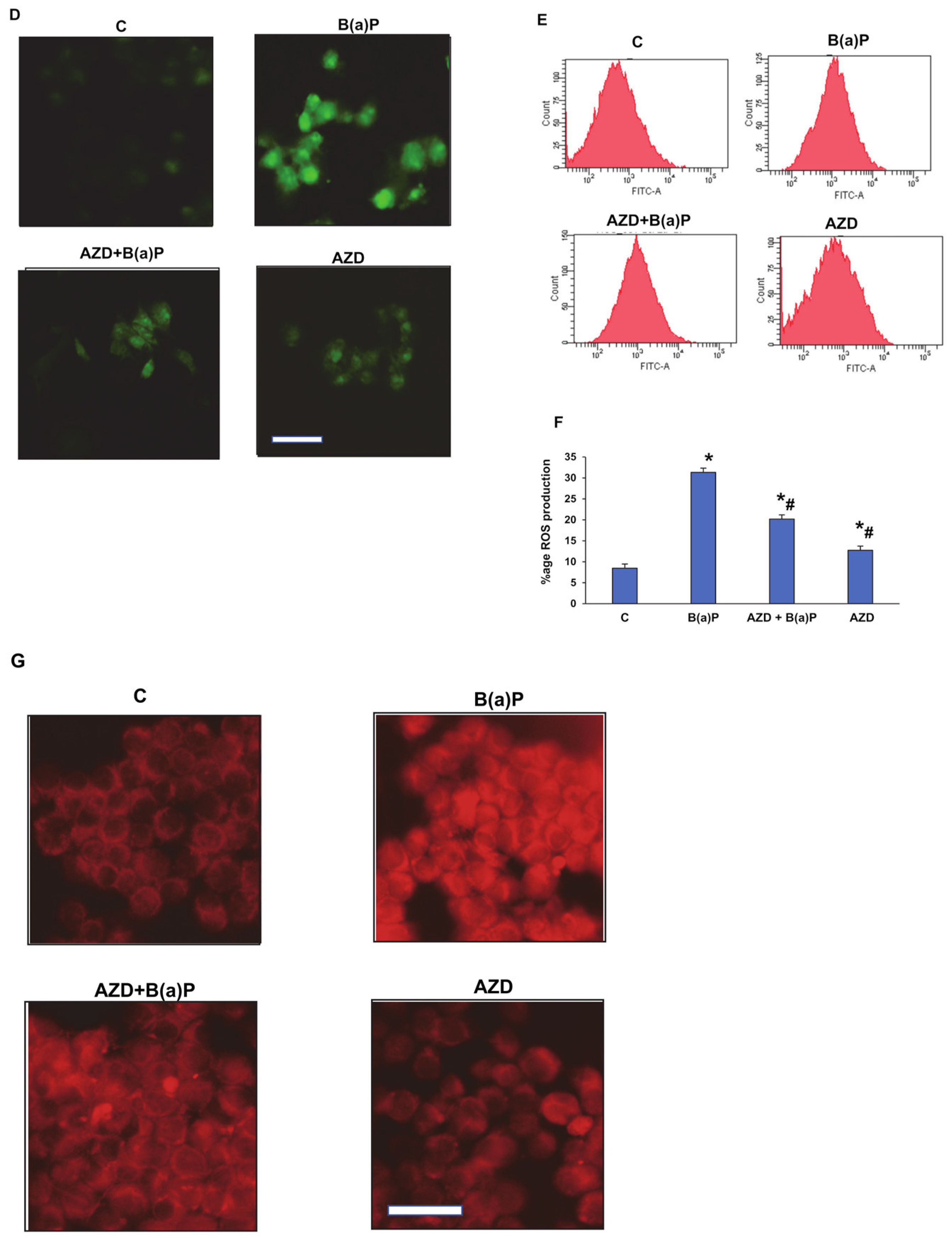 Antioxidants 12 02001 g004b Antioxidants 12 02001 g004b