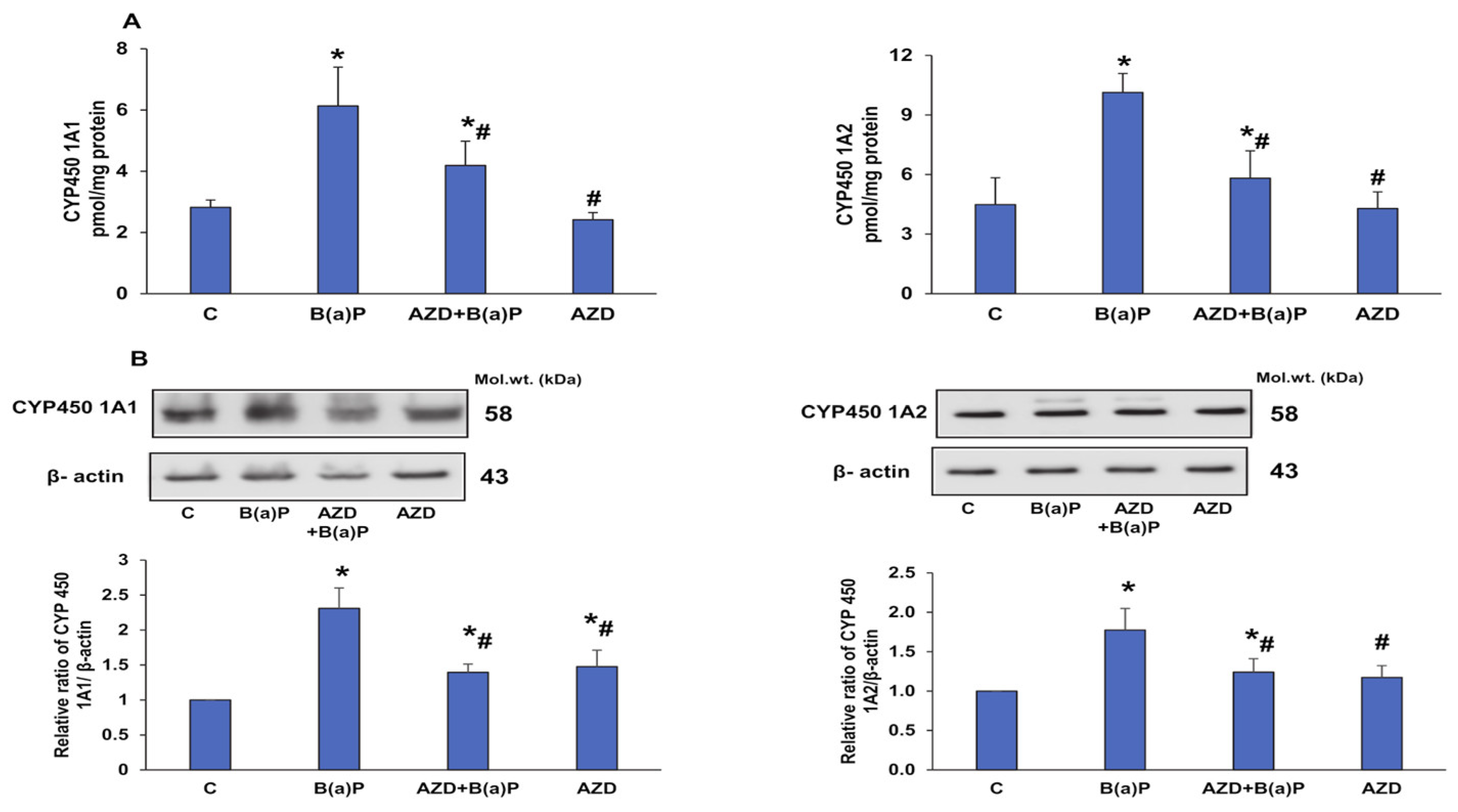 Antioxidants 12 02001 g007 Antioxidants 12 02001 g007